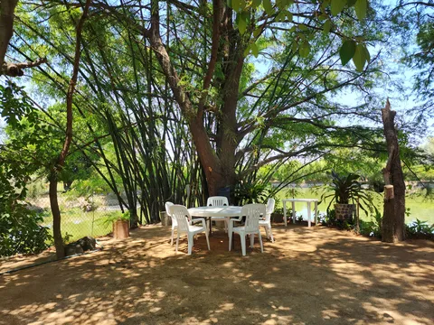 Restaurante Mesón Real image 5