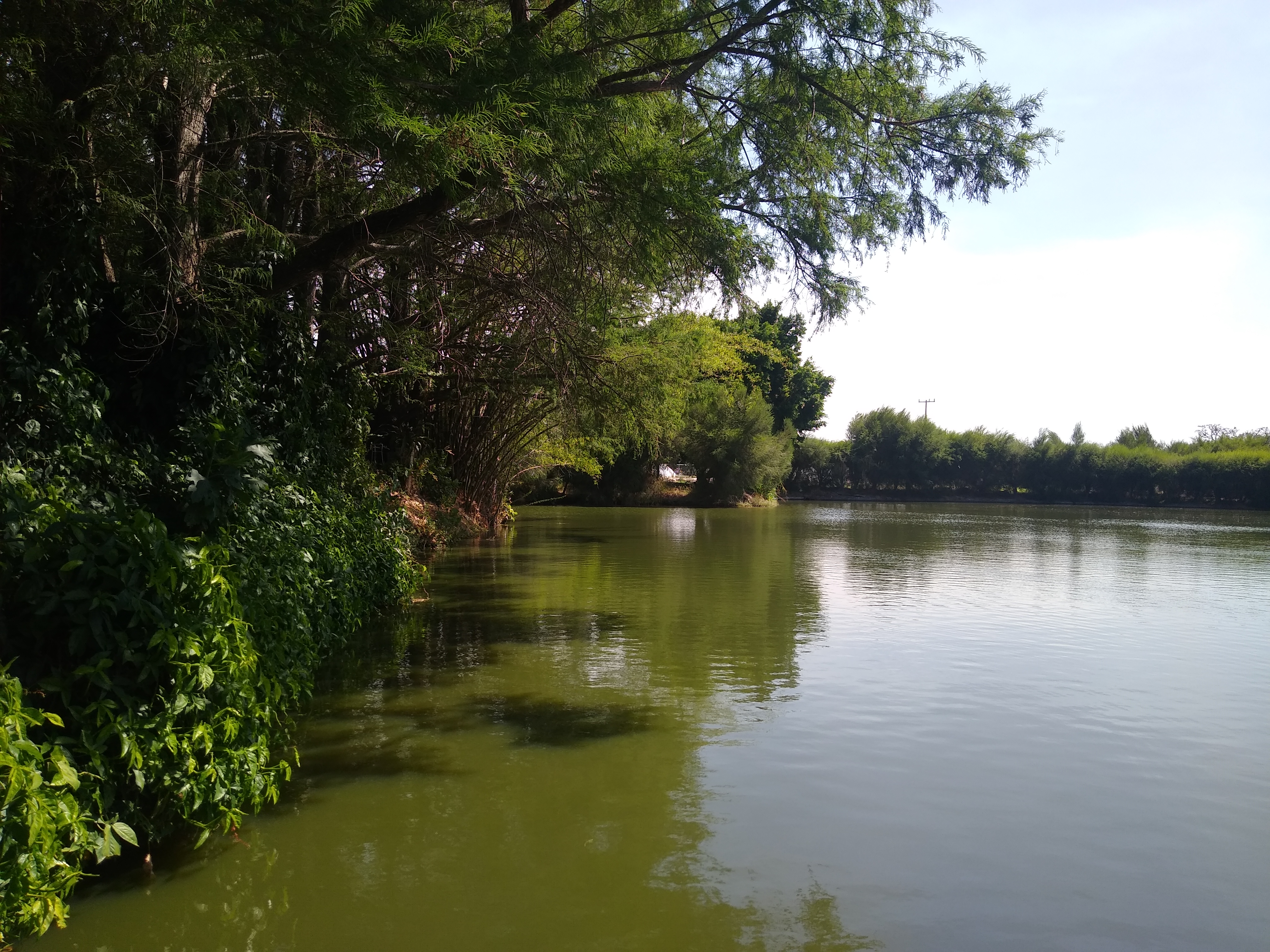 Restaurante Mesón Real image 6