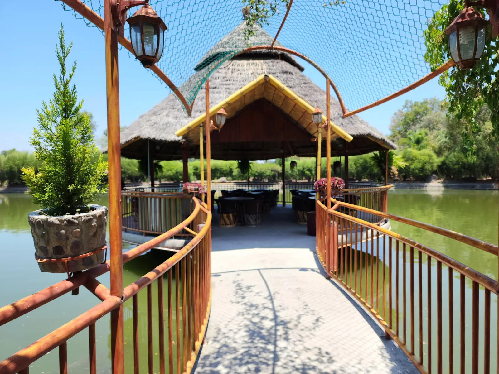 Restaurante Mesón Real image 7