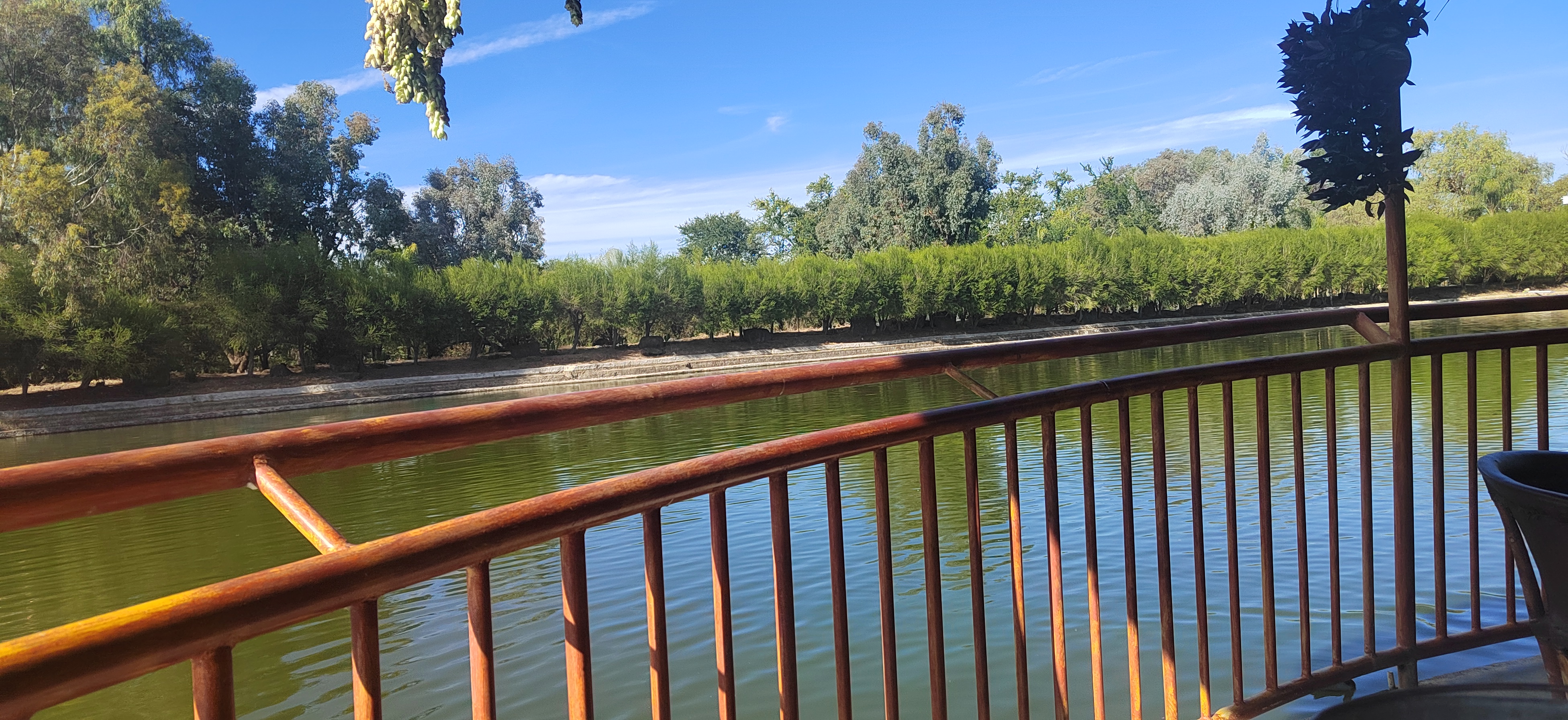 Restaurante Mesón Real image 8