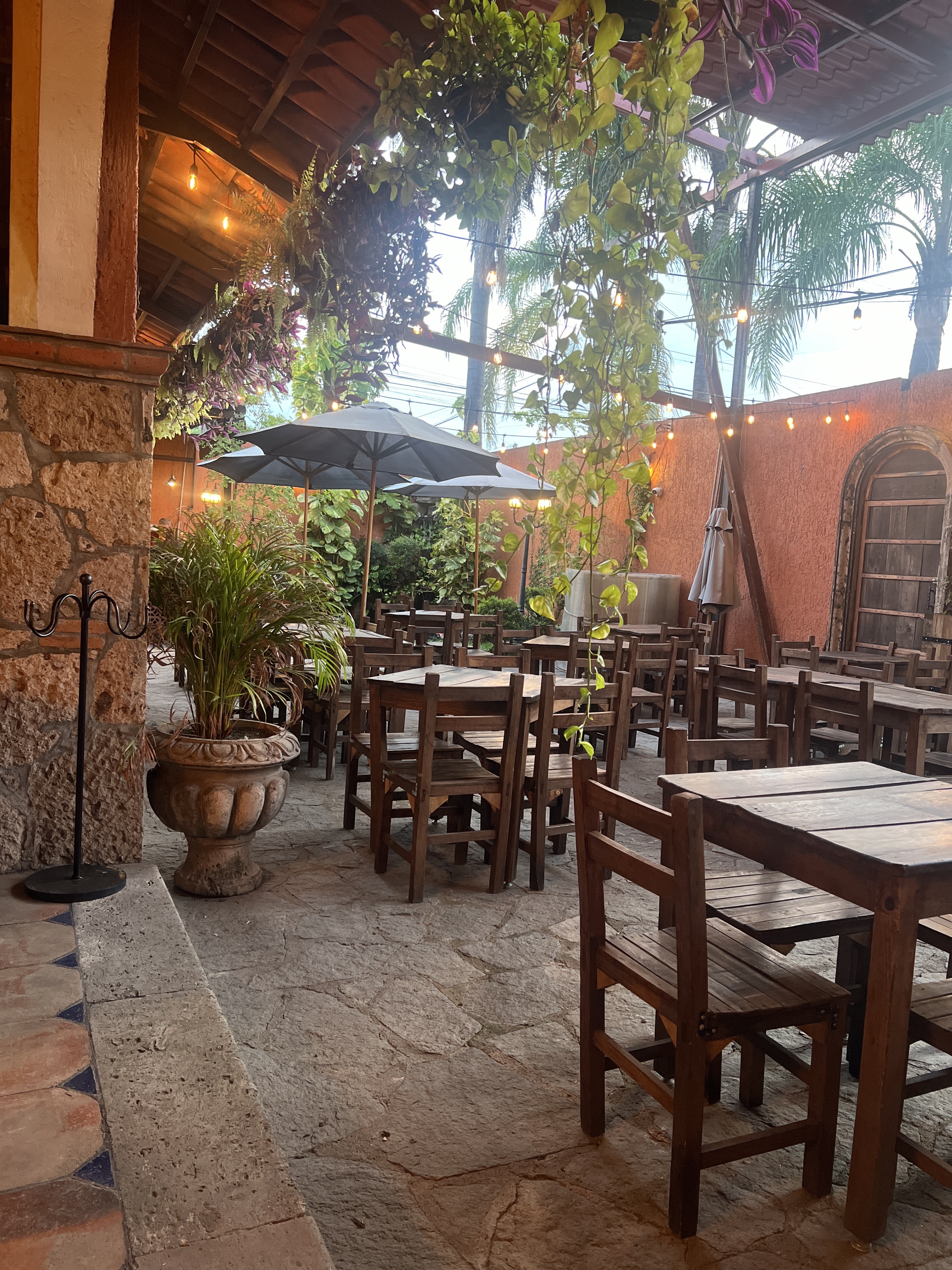 El Rey botanero restaurante image 9