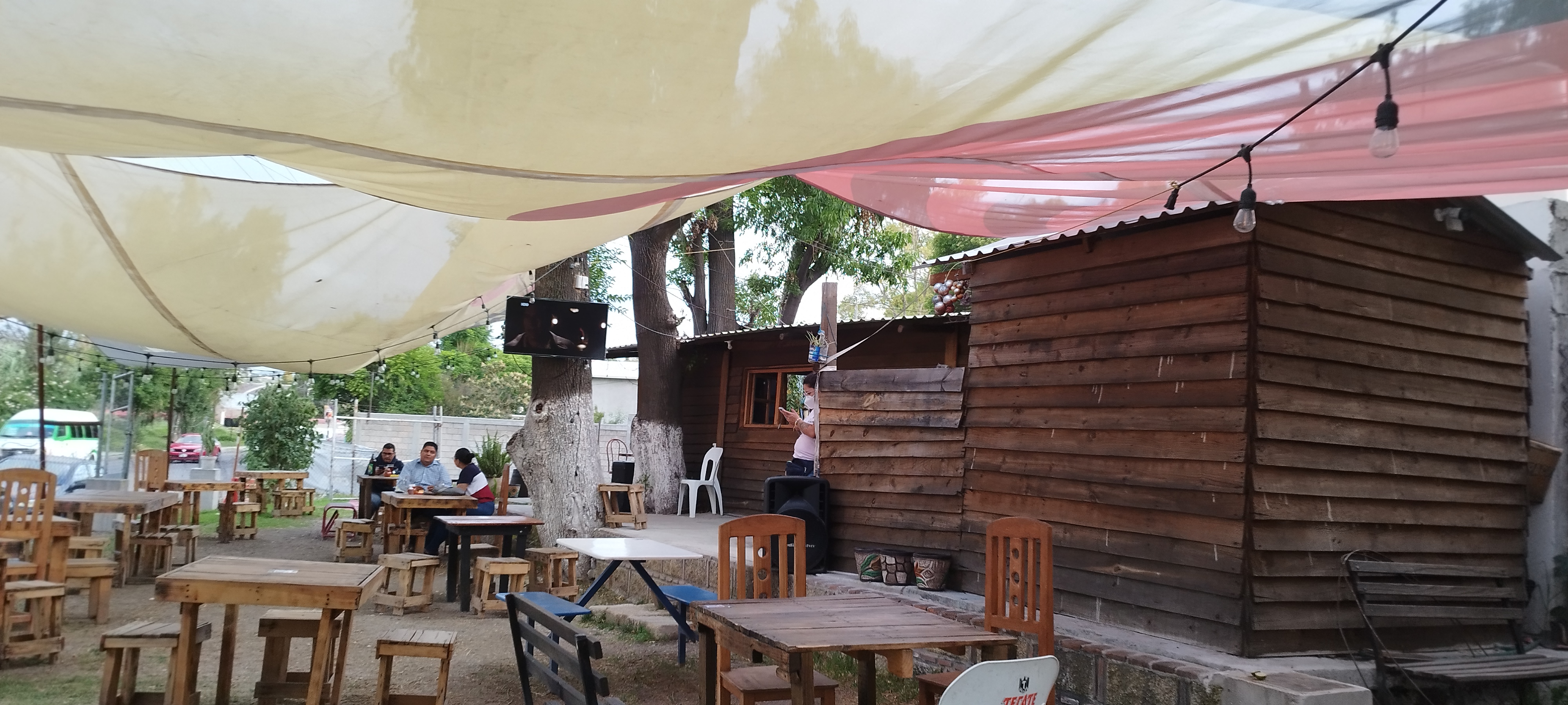 Centro botanero mala copa image 1