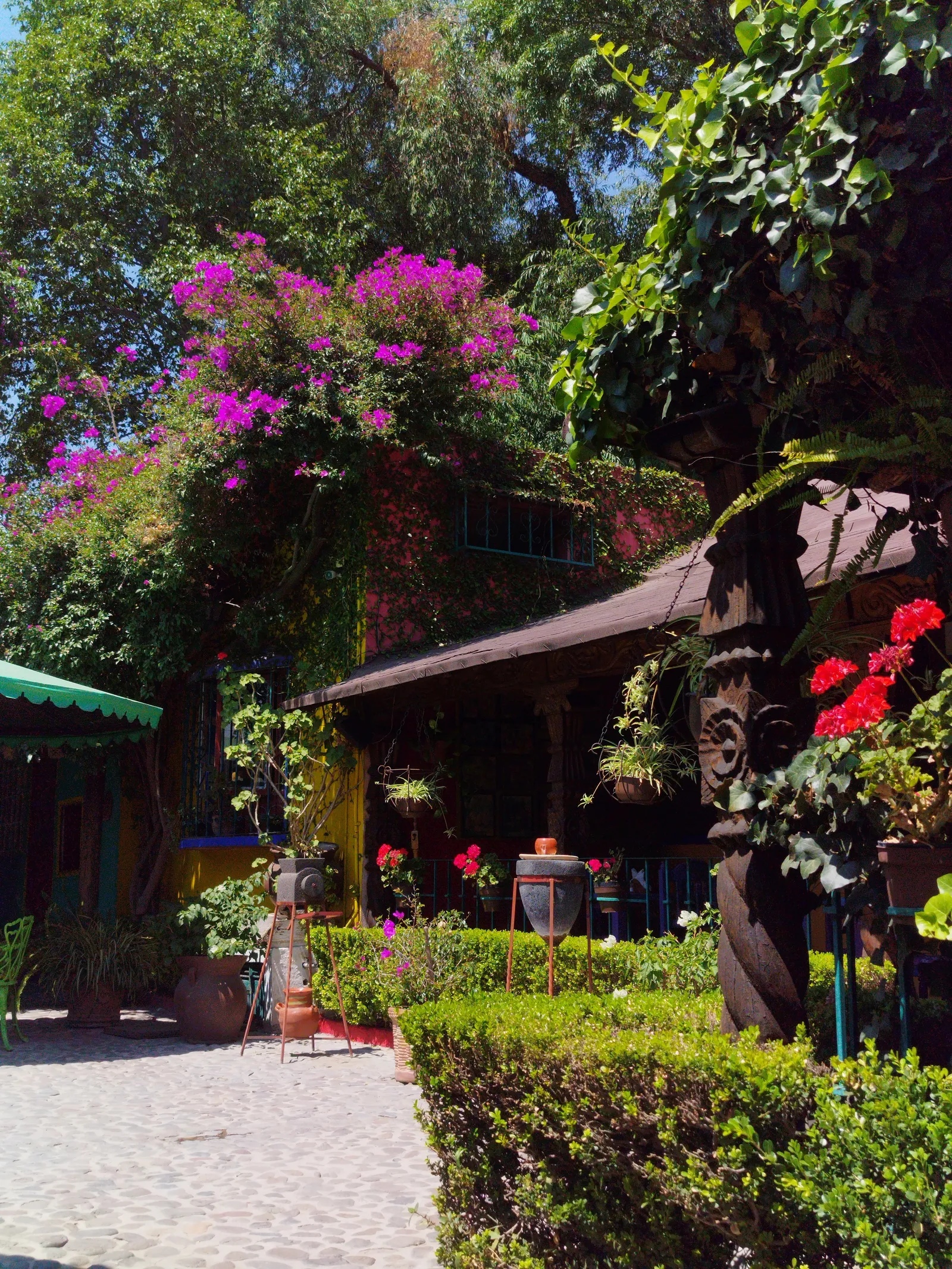 Restaurant Las Margaritas image 3