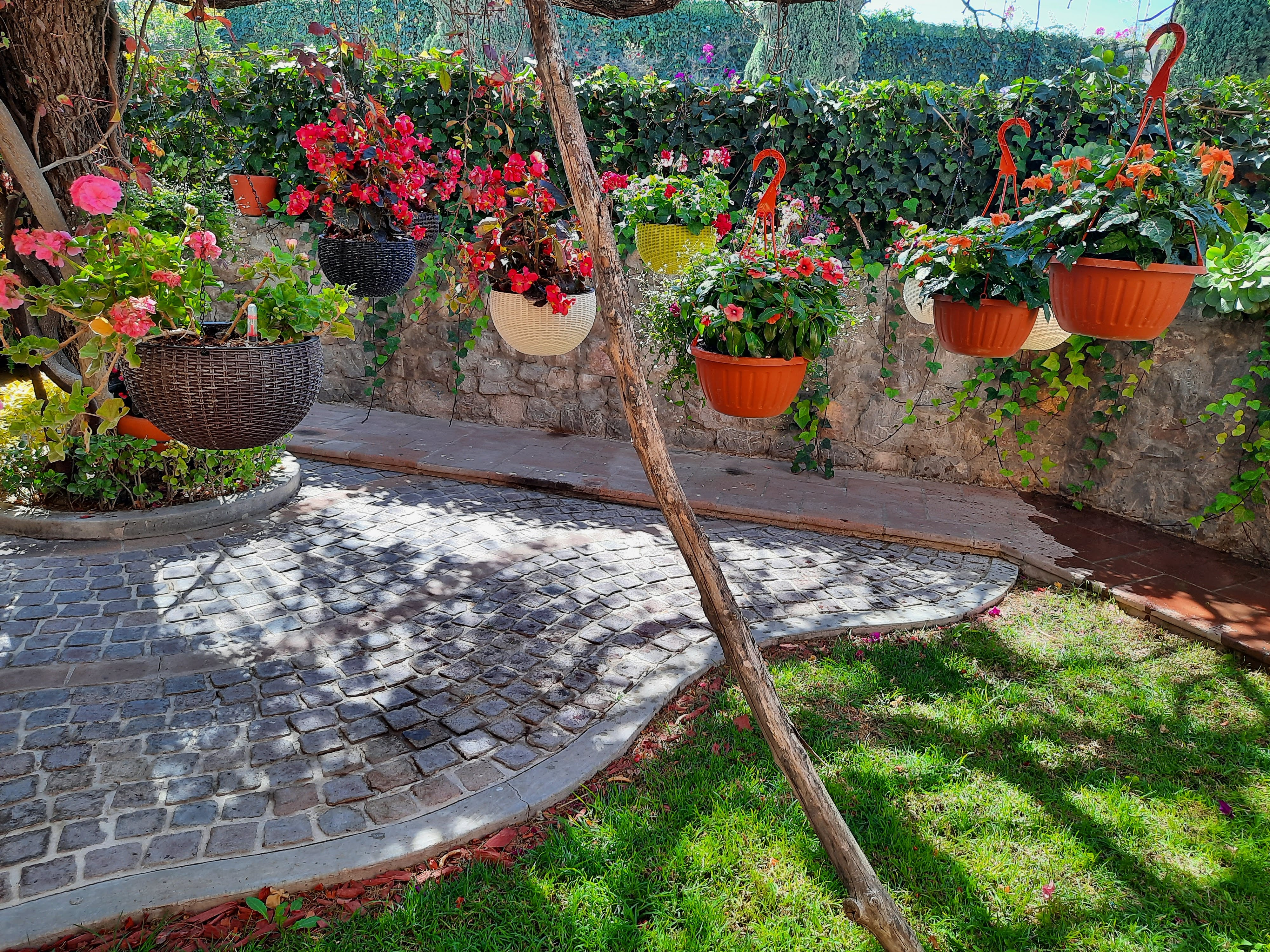 Restaurant Los Fresnitos image 7