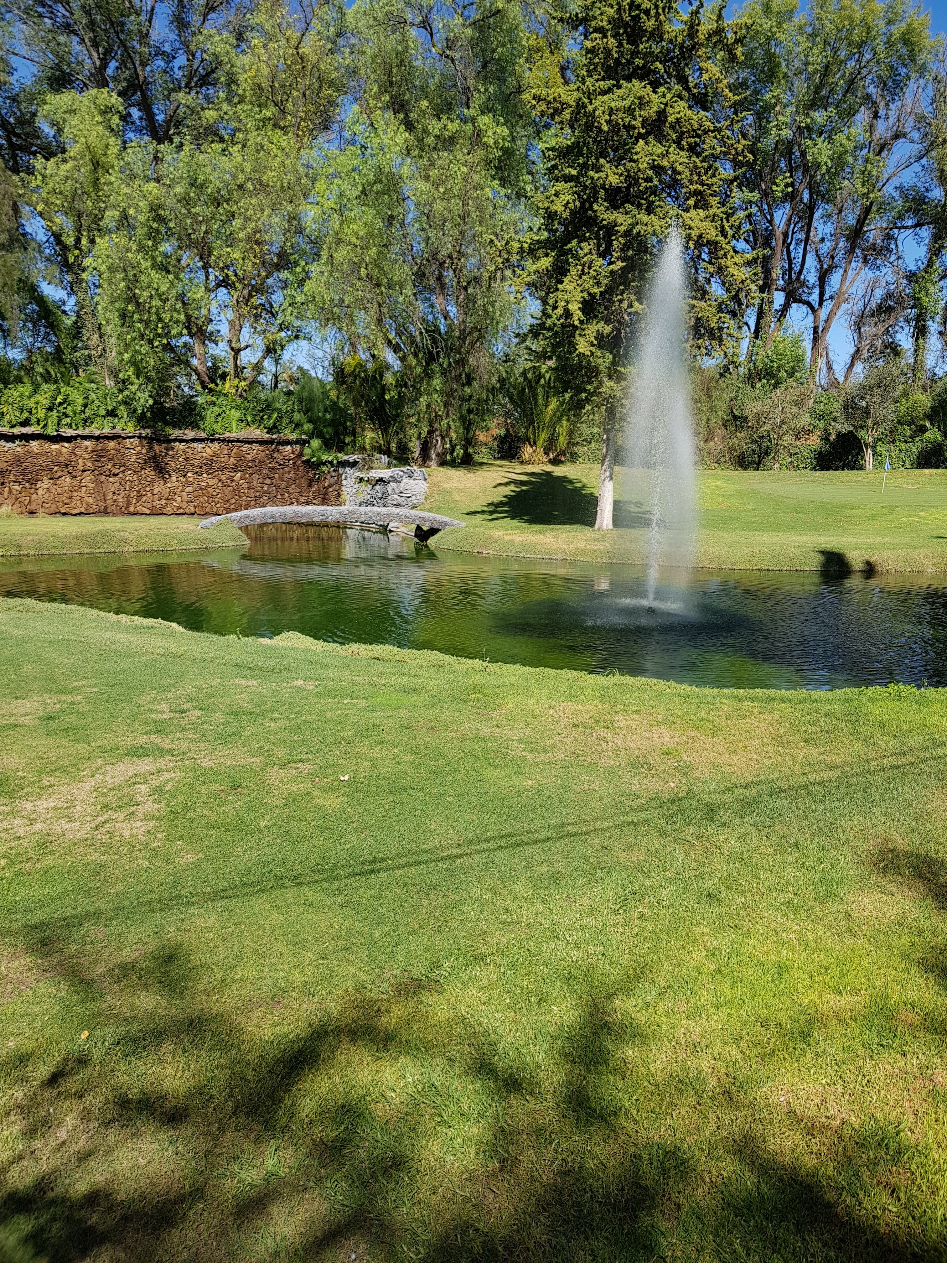 Restaurante Real del Bosque image 4
