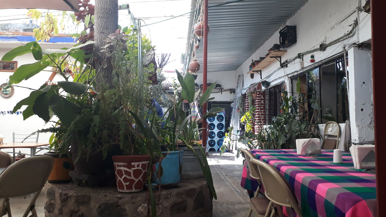 Restaurante Oscar's image 10