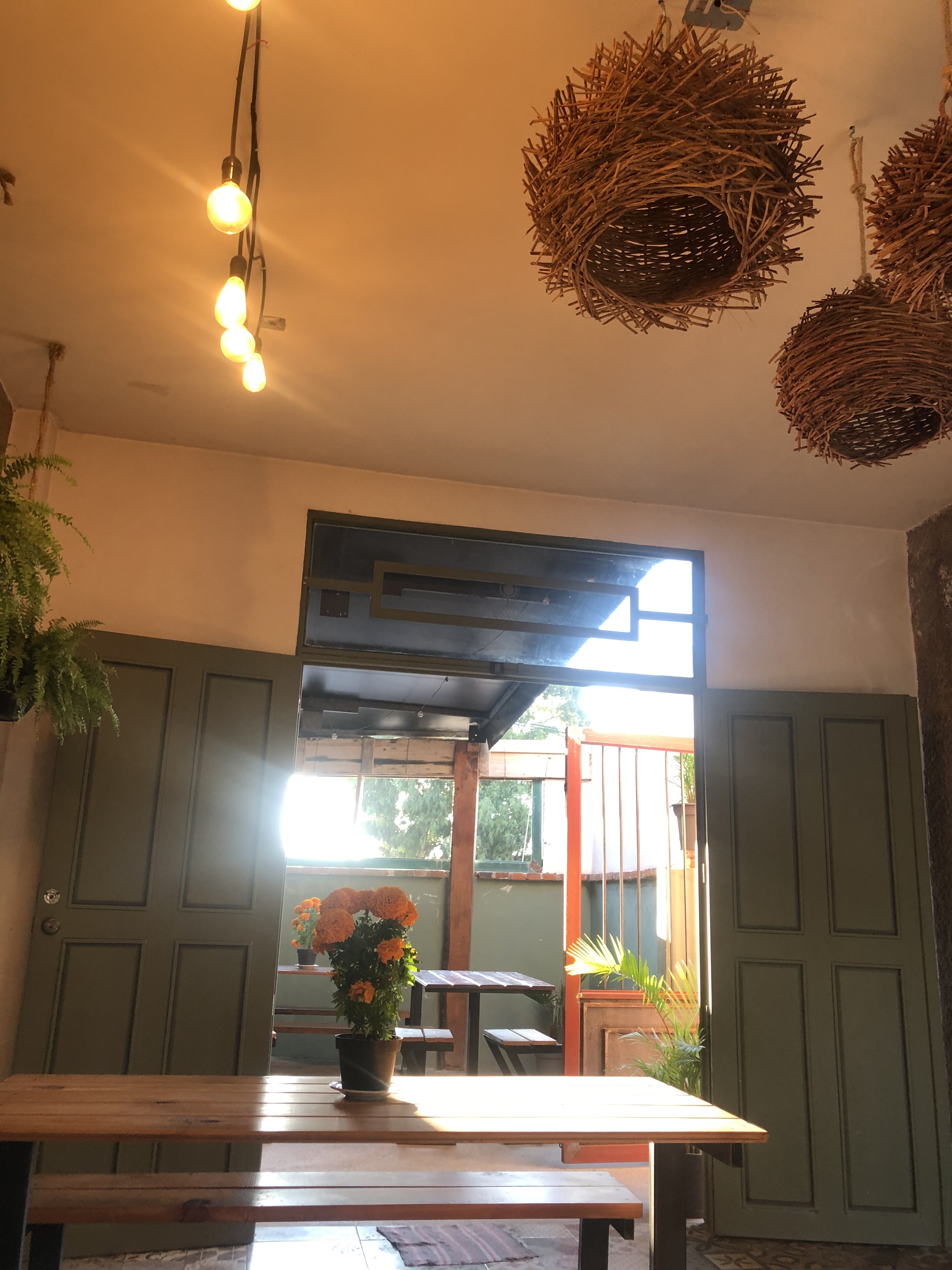 MITOTE RESTAURANTE image 3