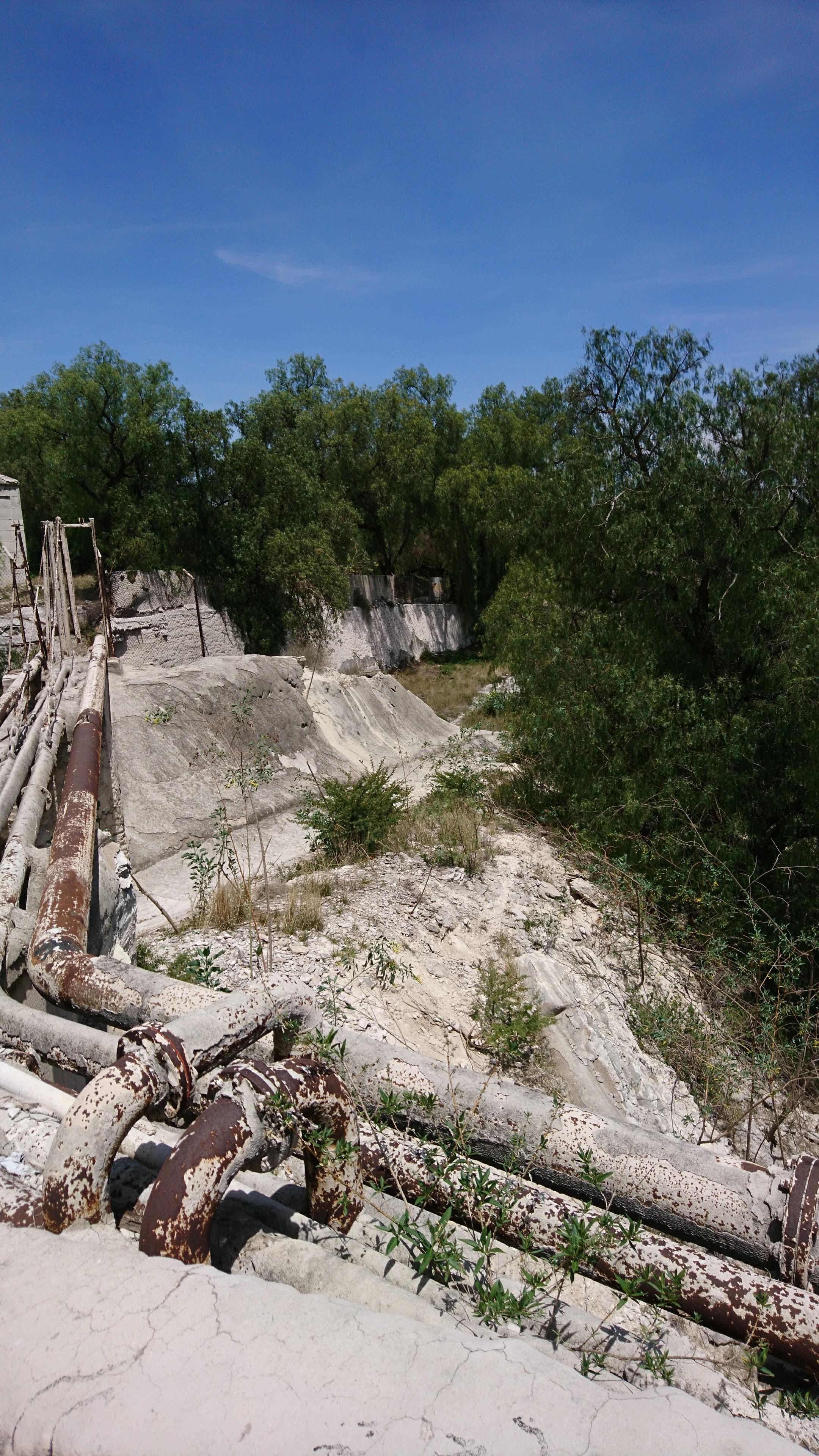 FONDA DE DON MAURI image 8