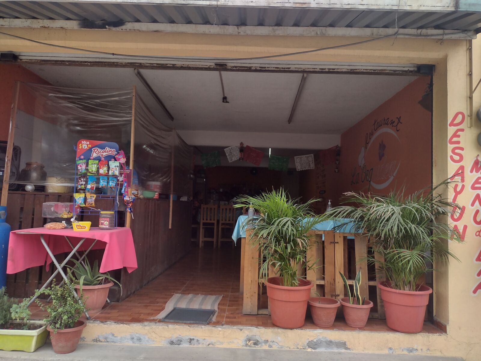 Restaurante la orquídea image 1