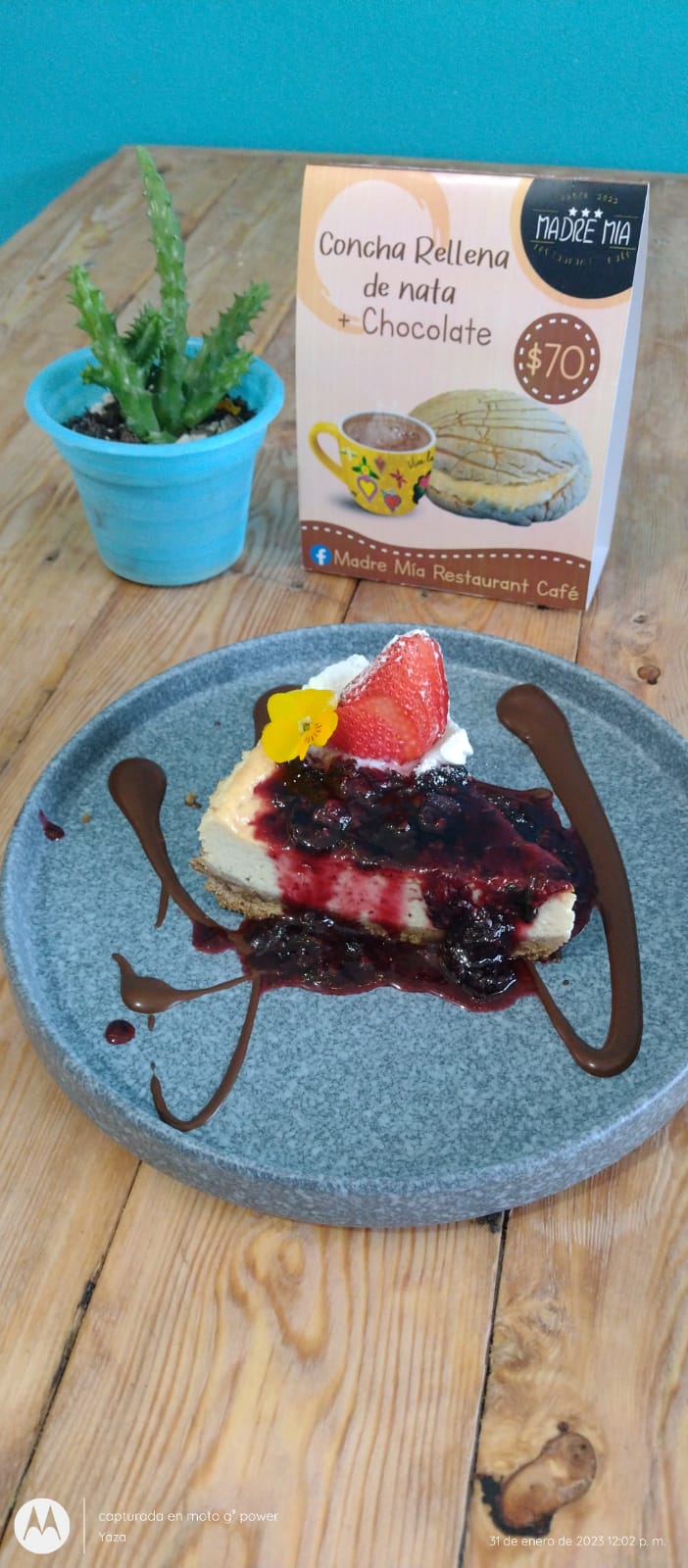 Madre Mía Restaurant Terraza image 5