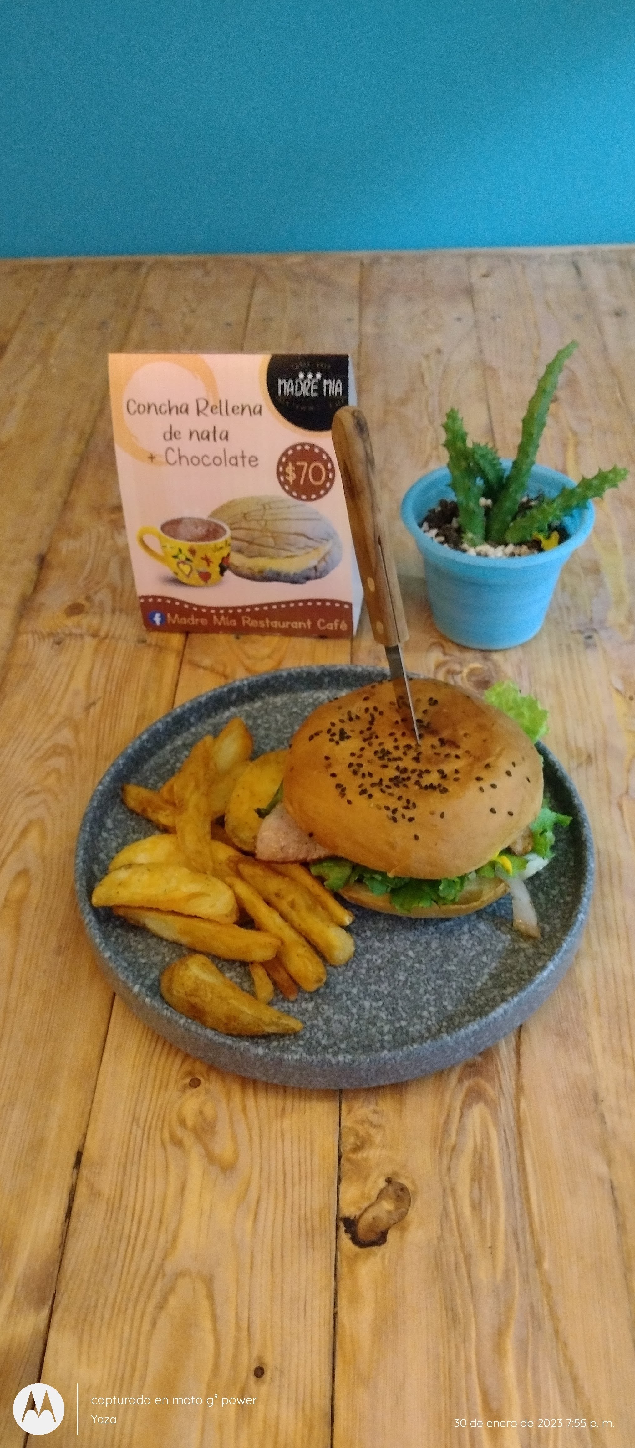 Madre Mía Restaurant Terraza image 9