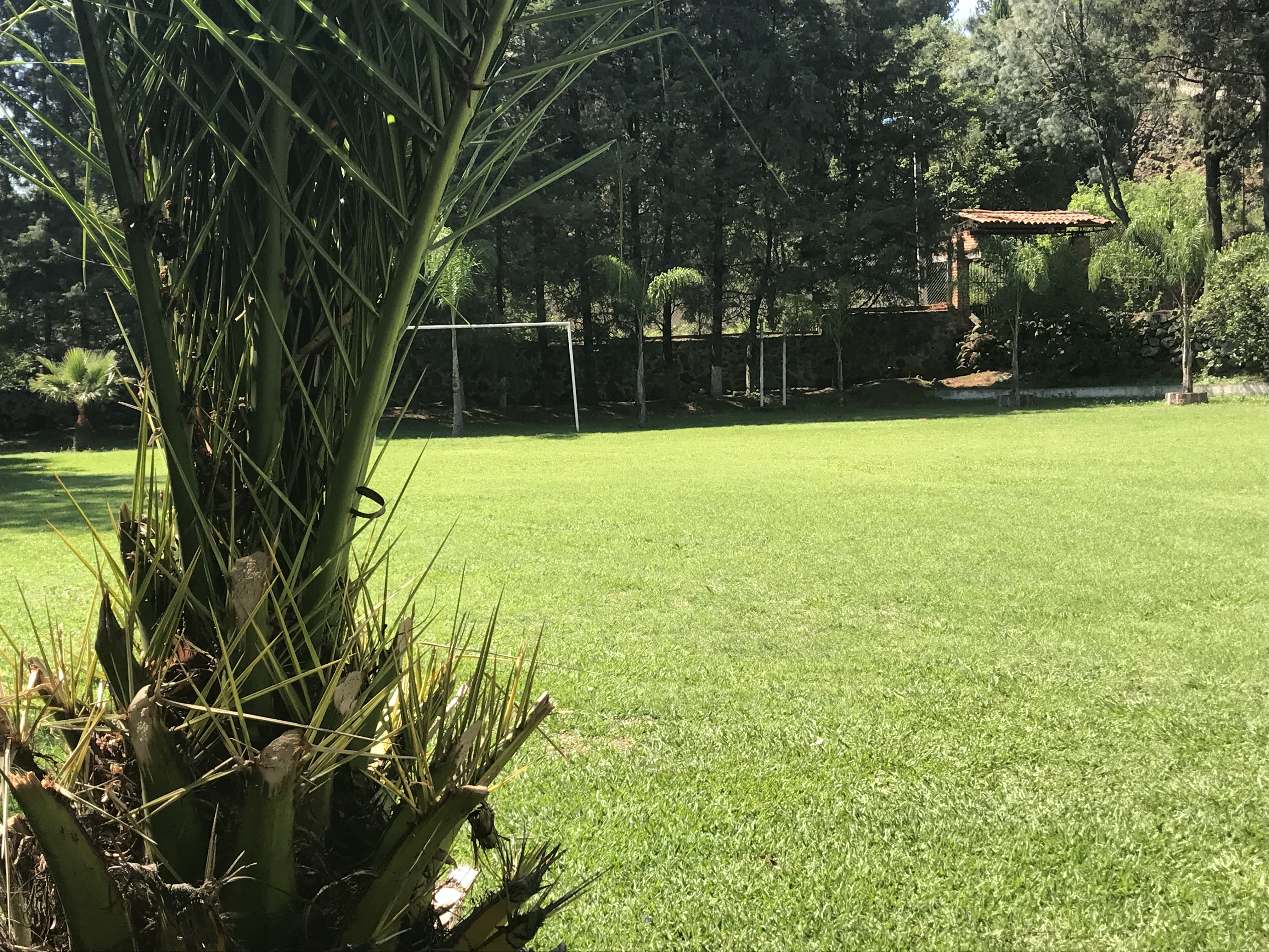 "HABANEROS" Restaurante Zacapu image 6