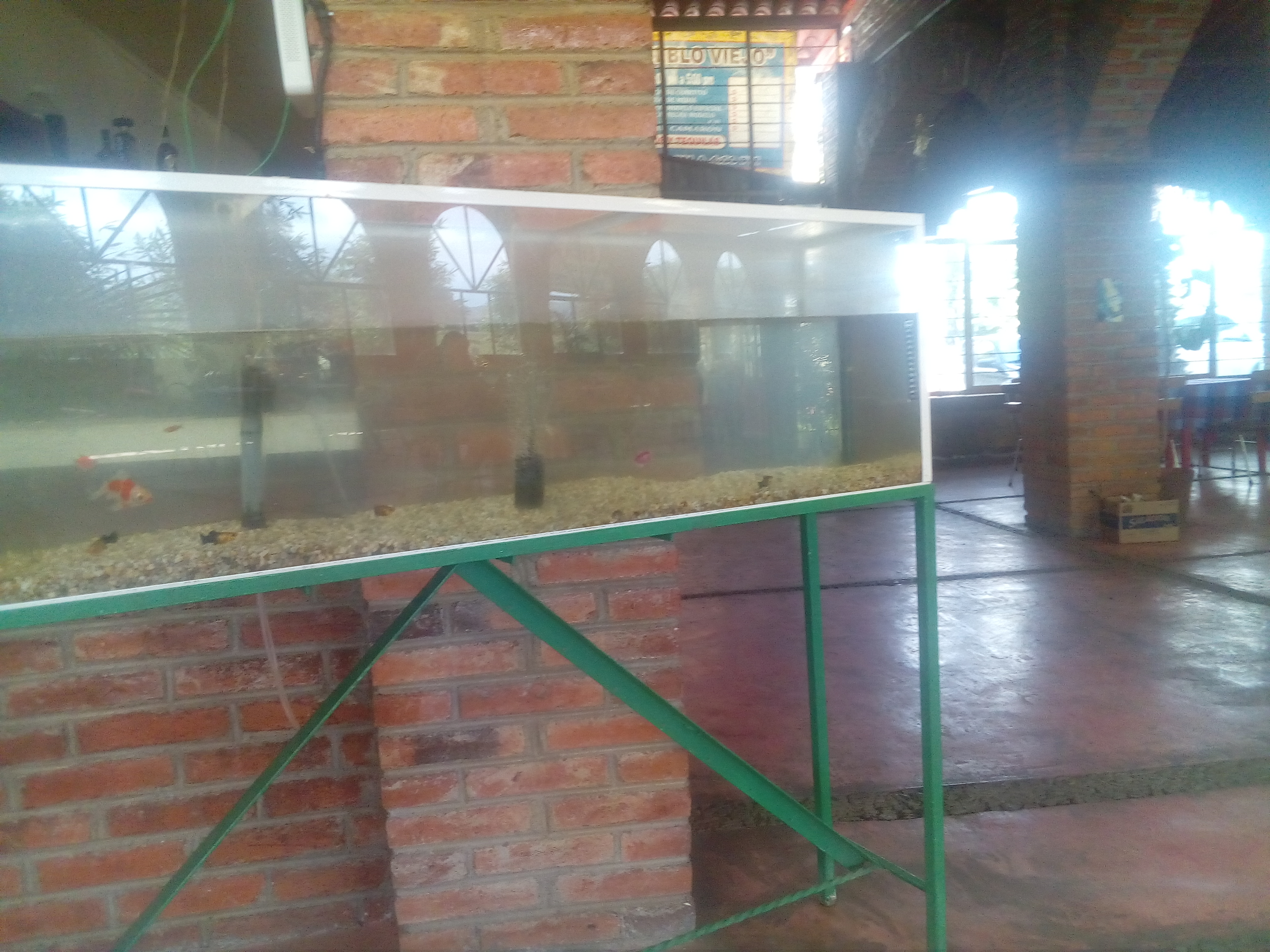 Restaurante Pueblo Viejo Zacapu image 7