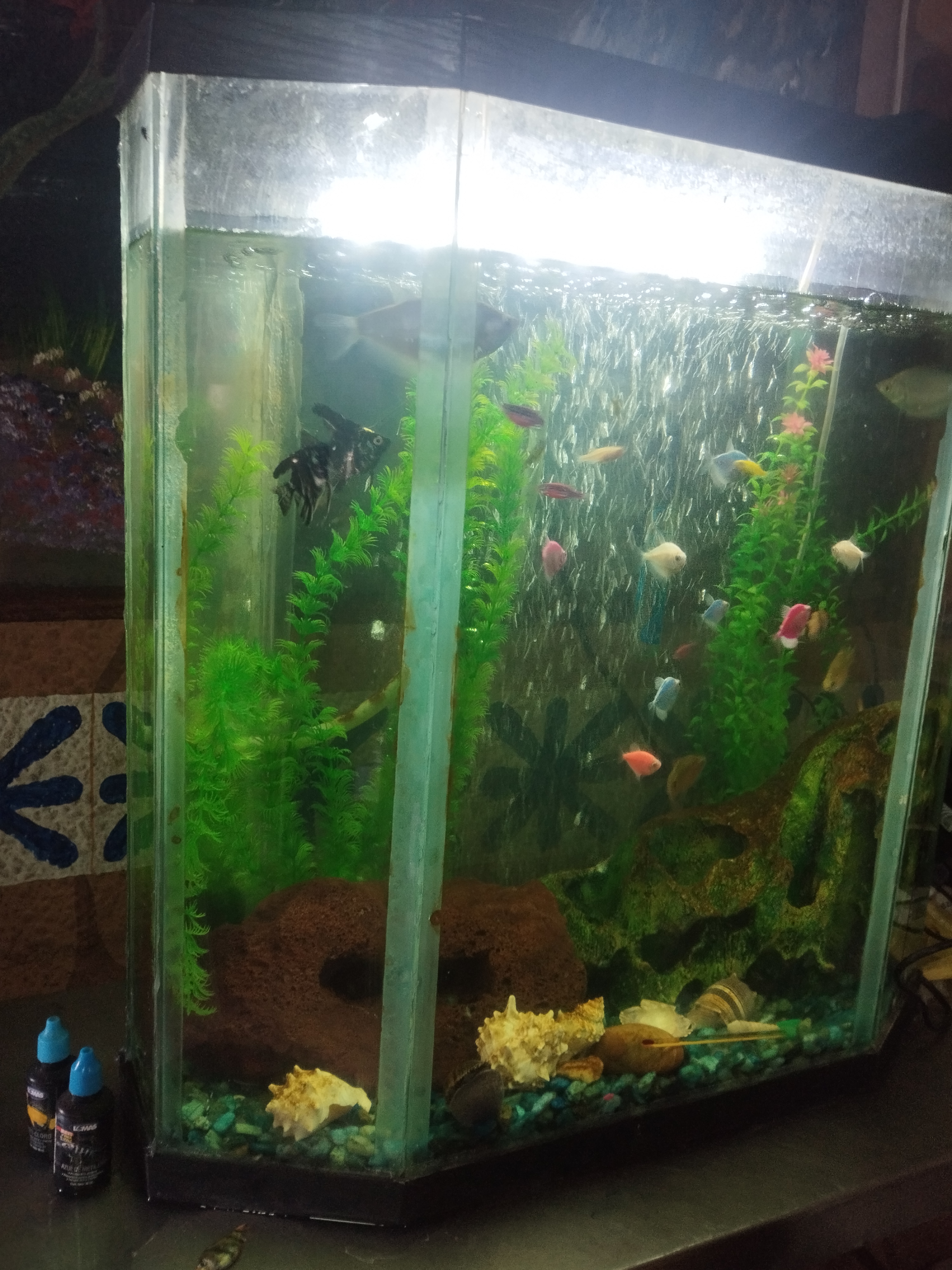 "LA CABAÑITA" image 8