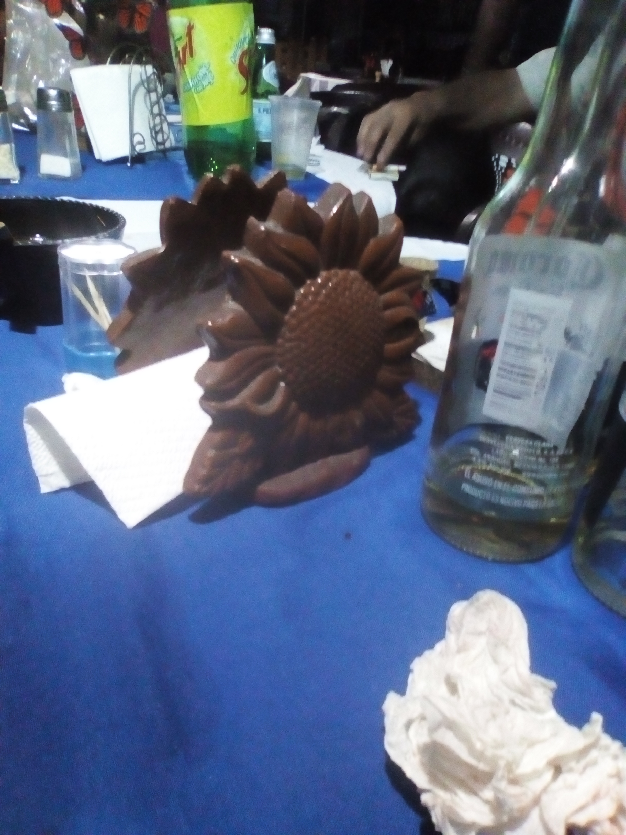 "LA CABAÑITA" image 9