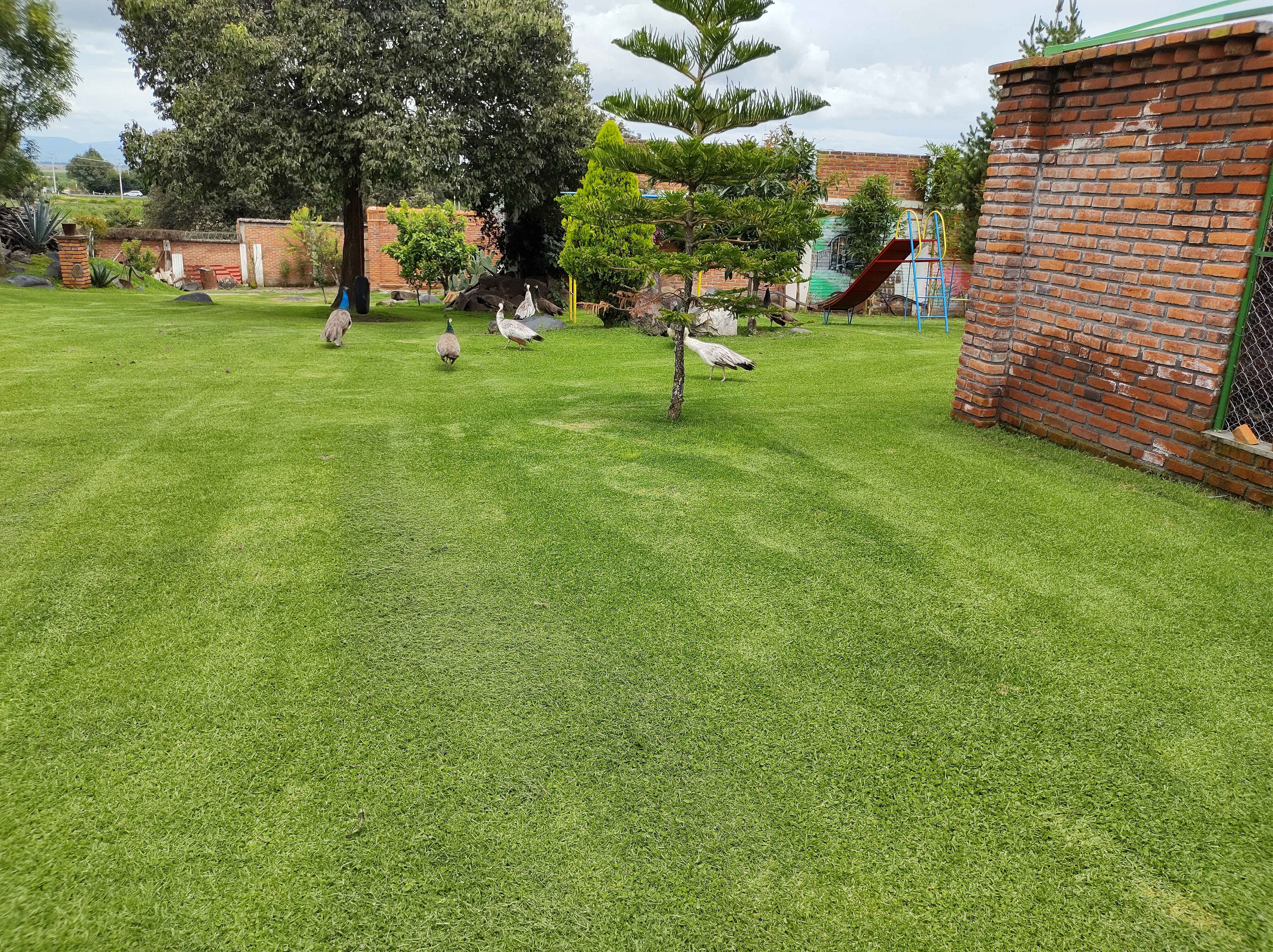 Restaurant Campestre La Constancia image 8