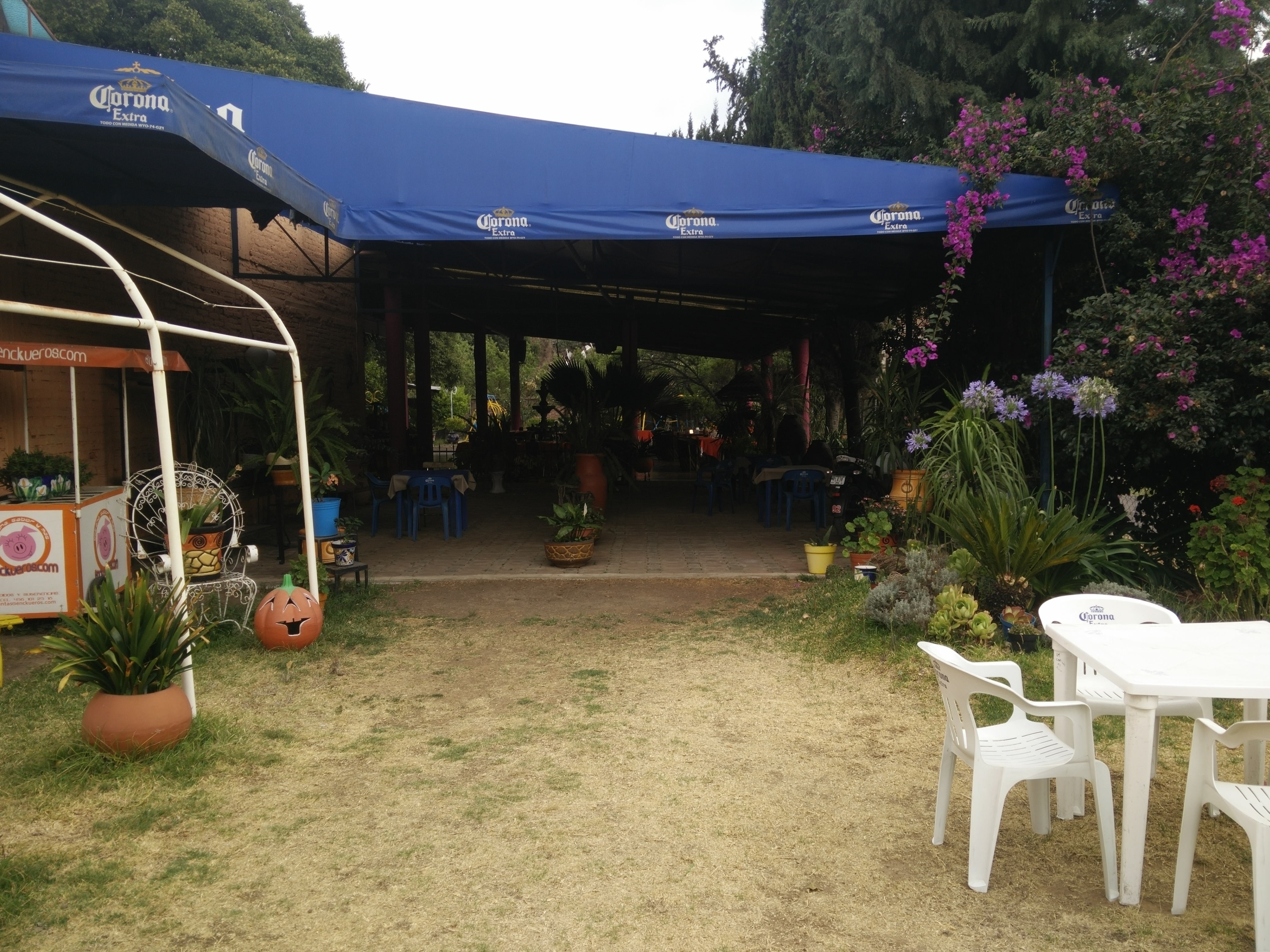 La Cabaña de Jimmy image 10