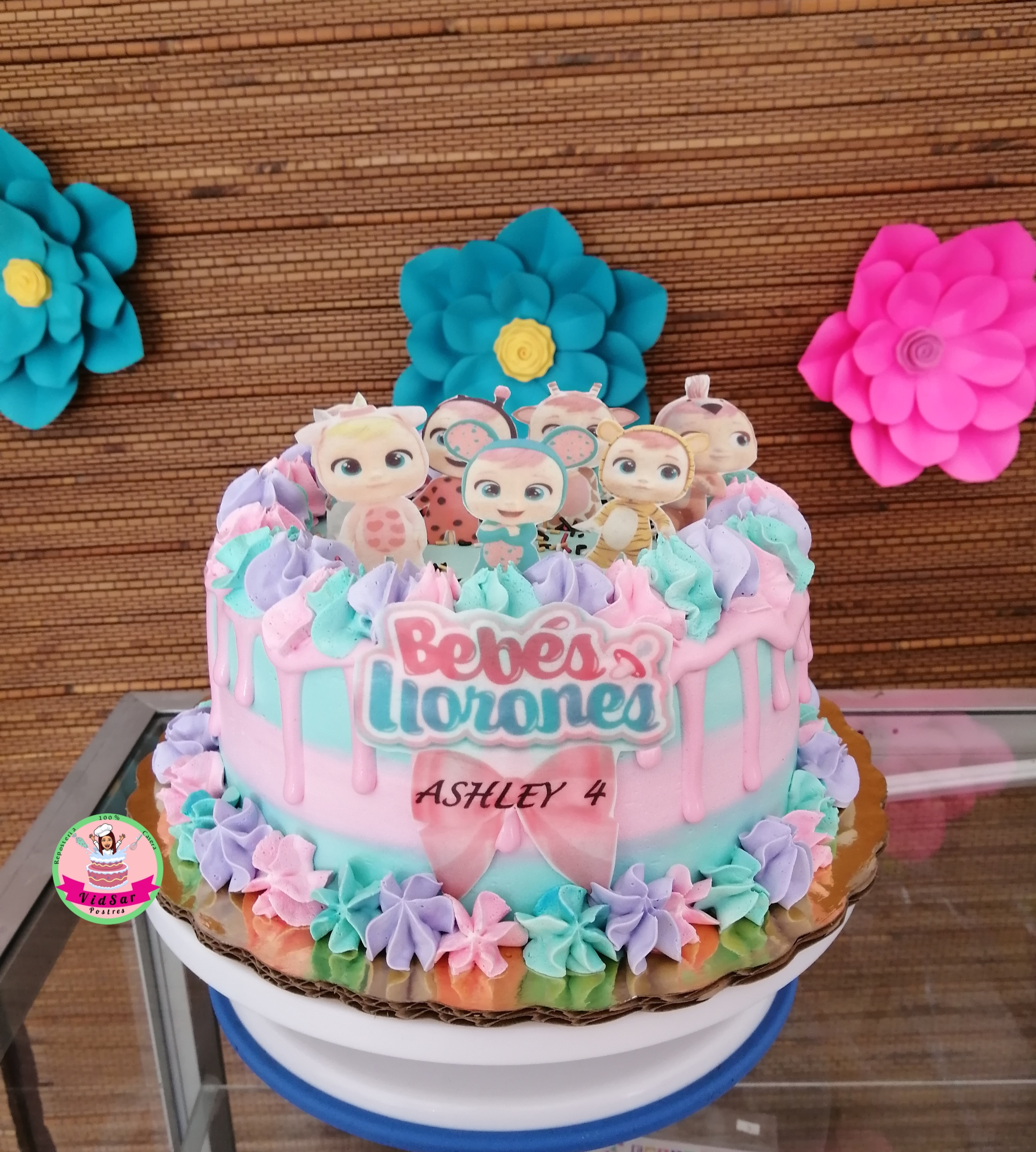 VidSar Postres image 1