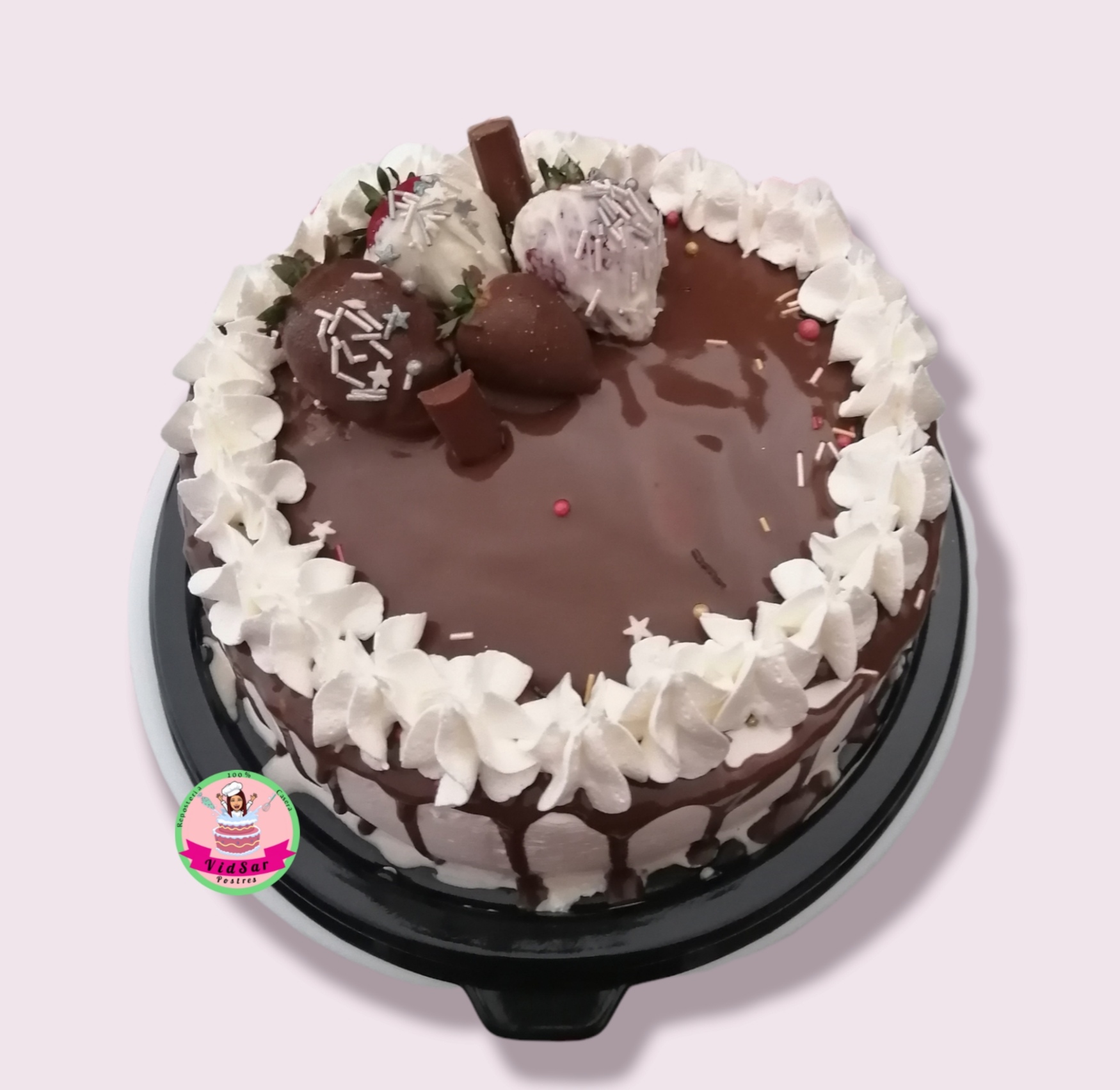 VidSar Postres image 2