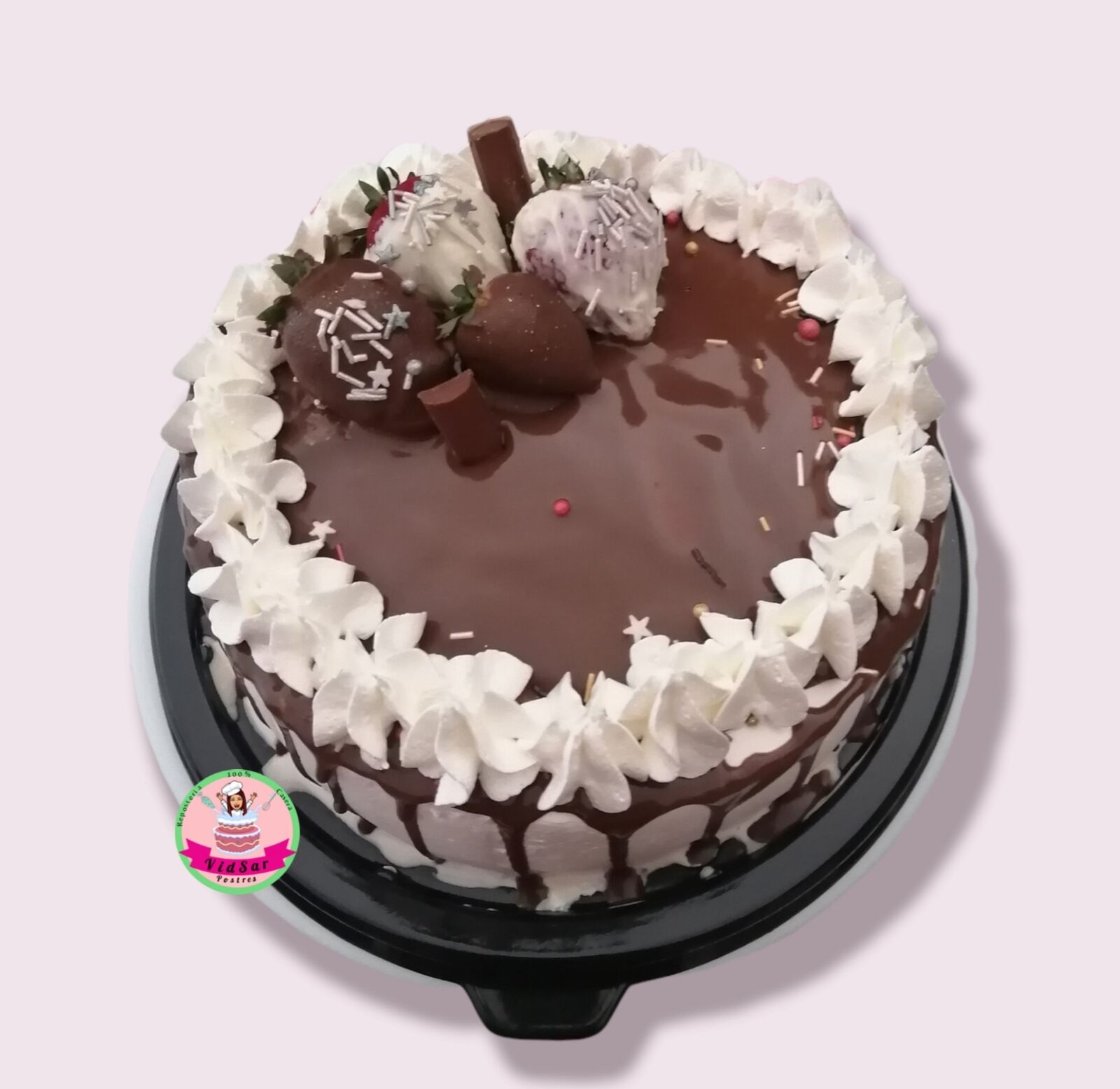 VidSar Postres image 2