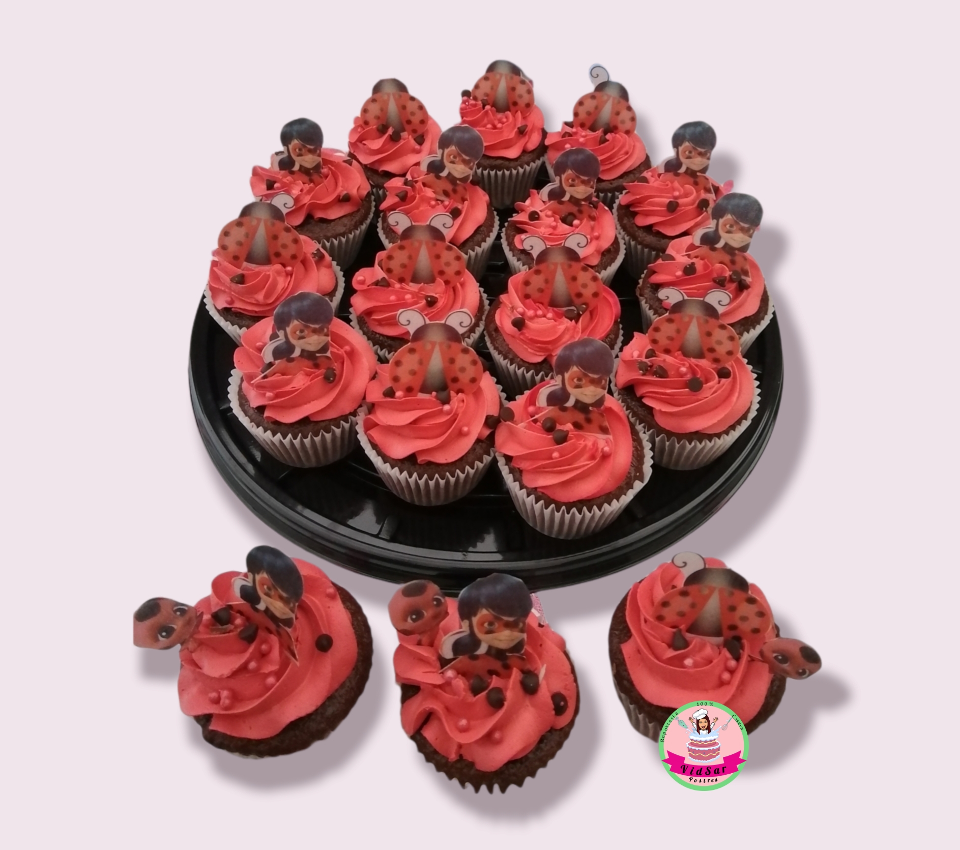 VidSar Postres image 5