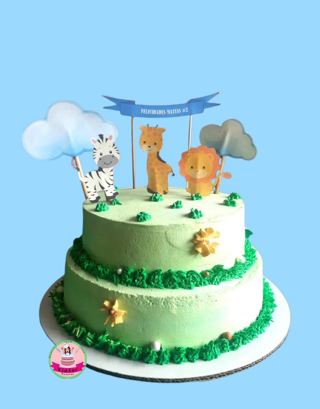 VidSar Postres image 6