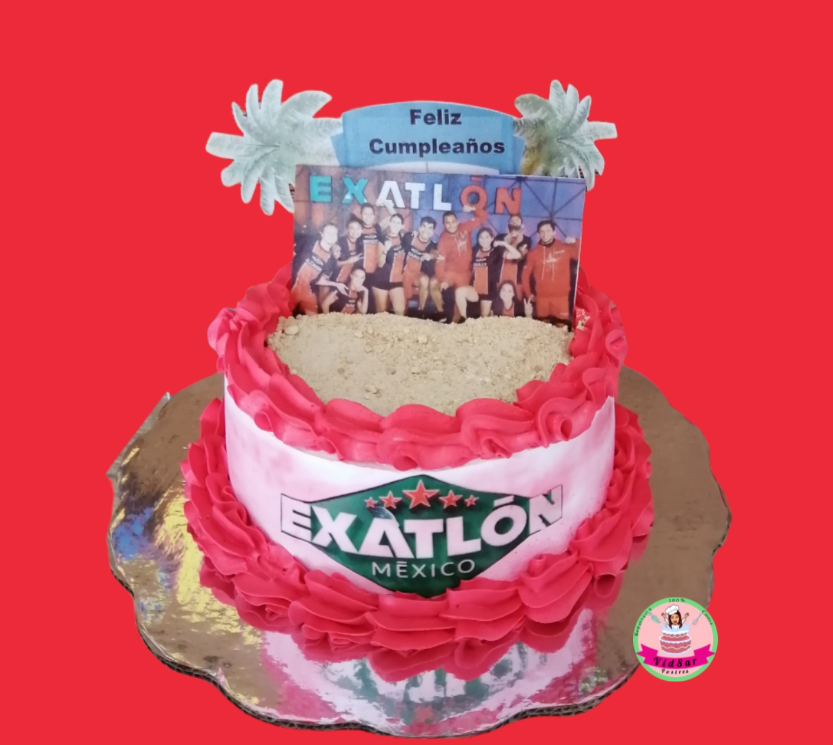 VidSar Postres image 8