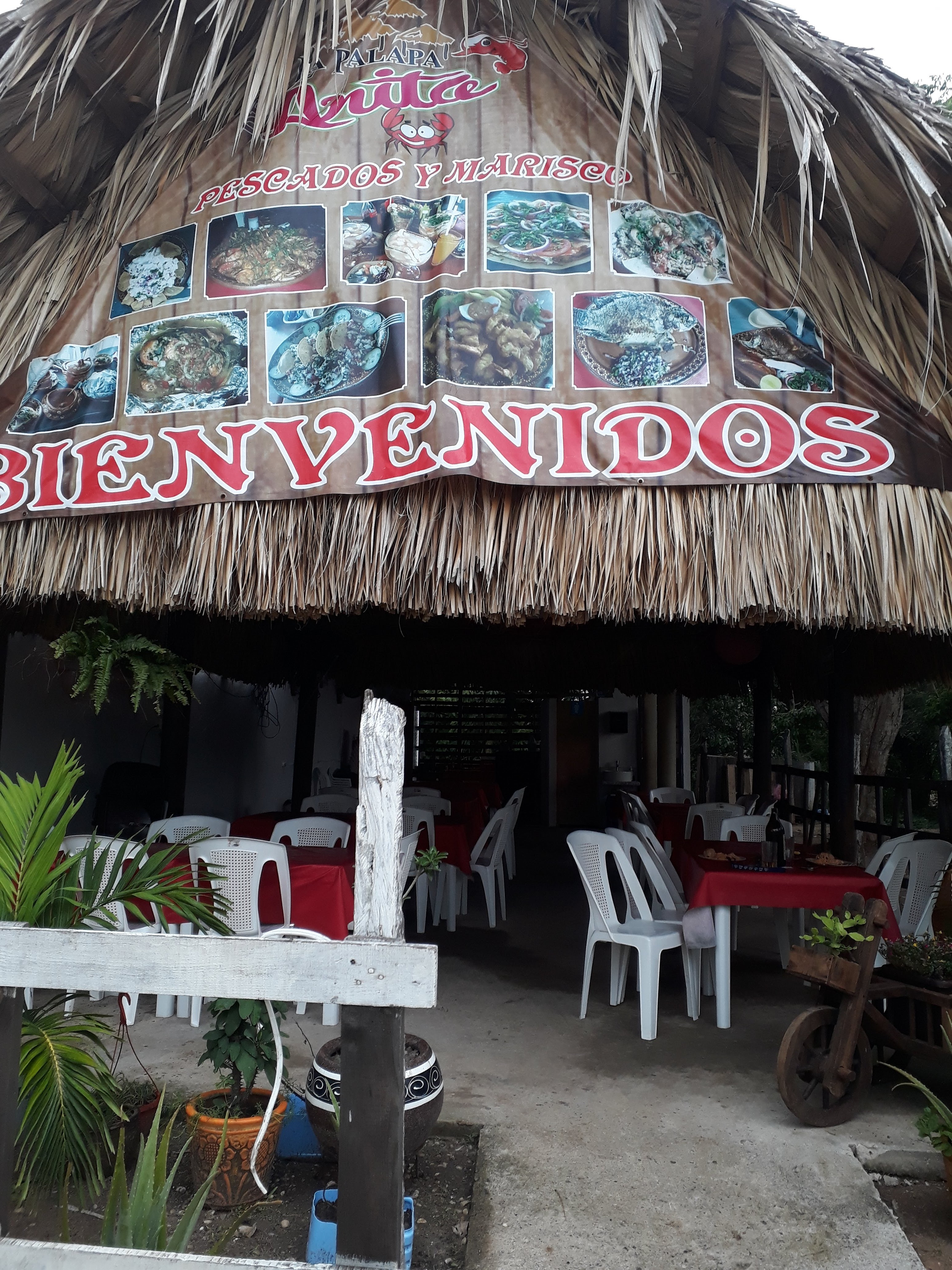 La Palapa De Anita image 4