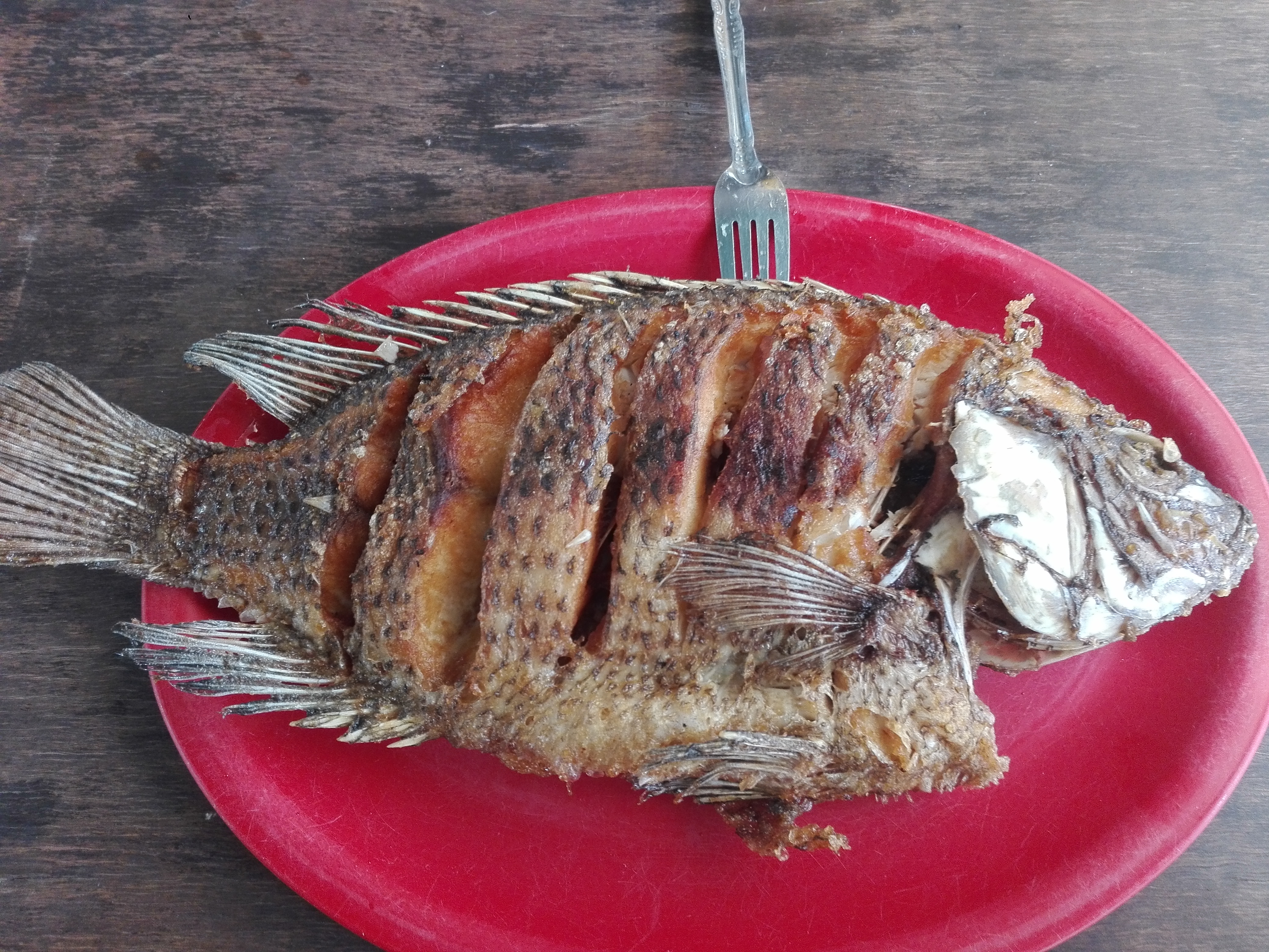 Pescadería Don Mario image 2