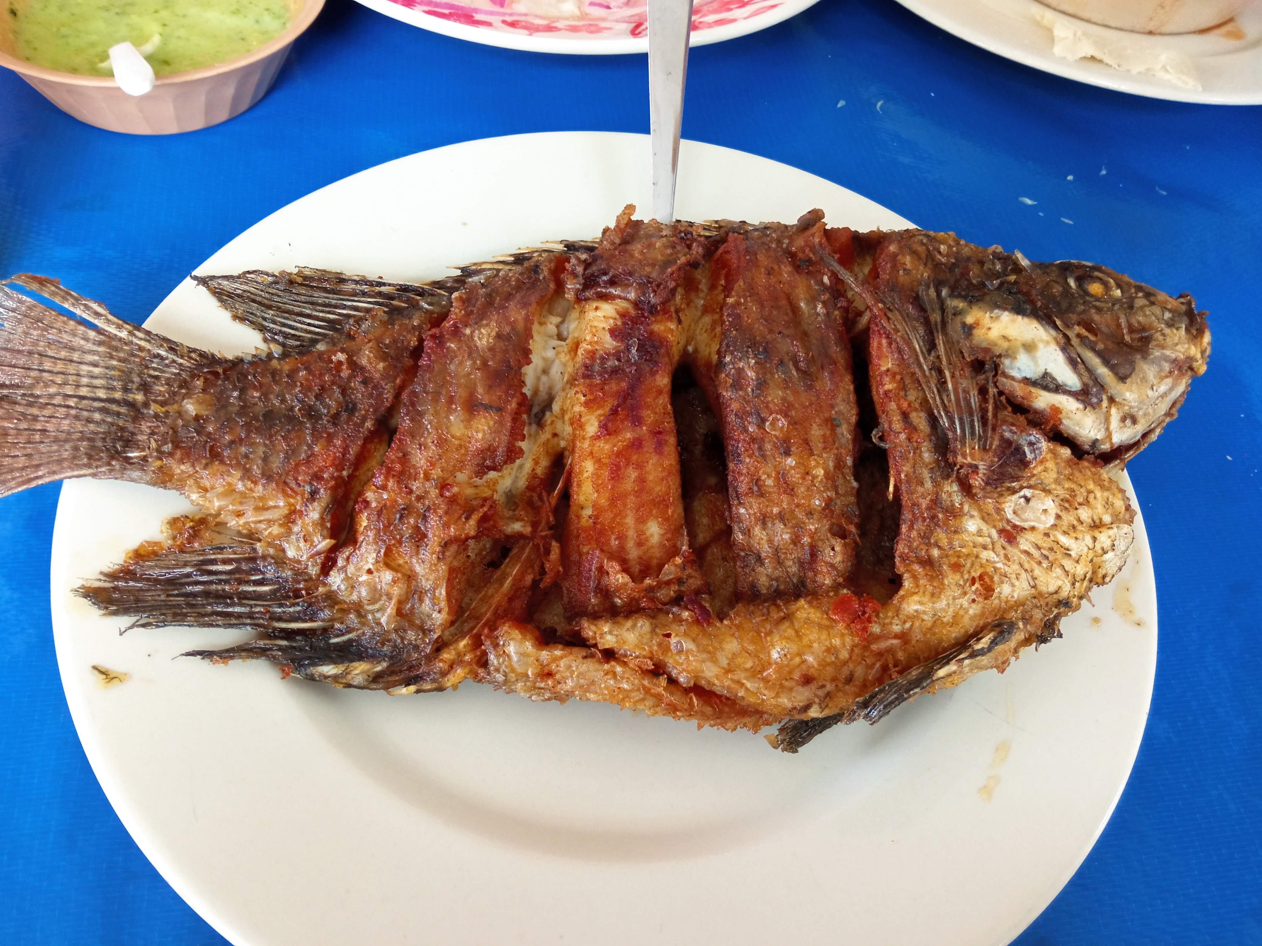 Restaurante Doña Lulú image 3
