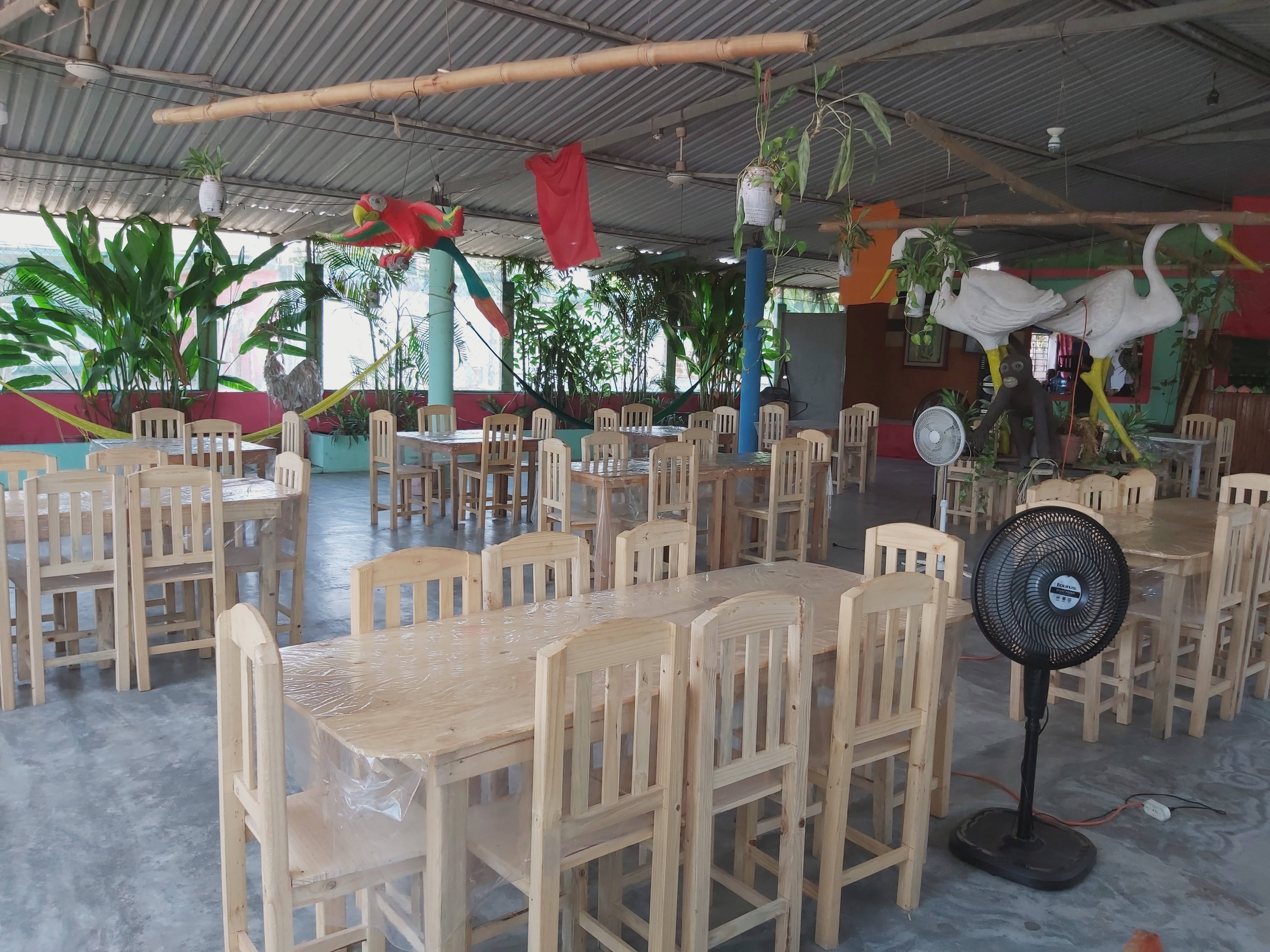 Restaurante Los Manglares image 4