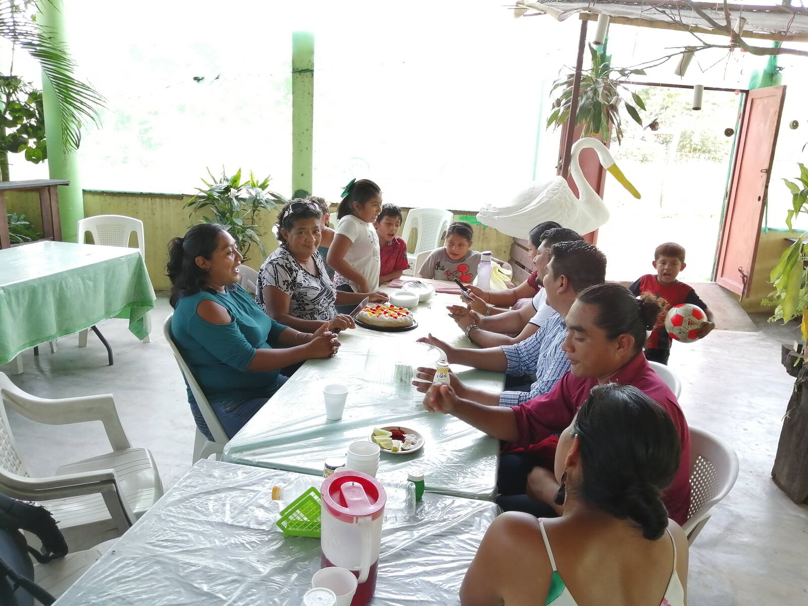 Restaurante Los Manglares image 5