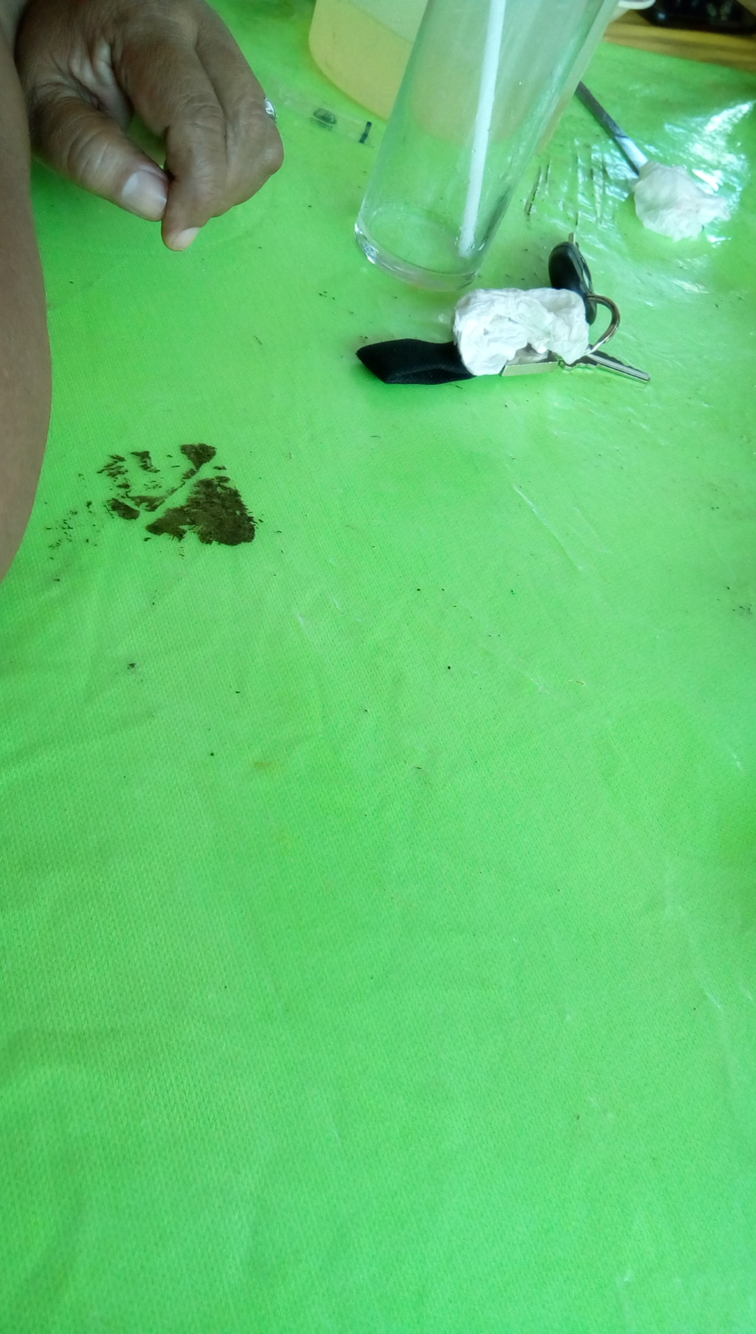 Restaurante Los Manglares image 9