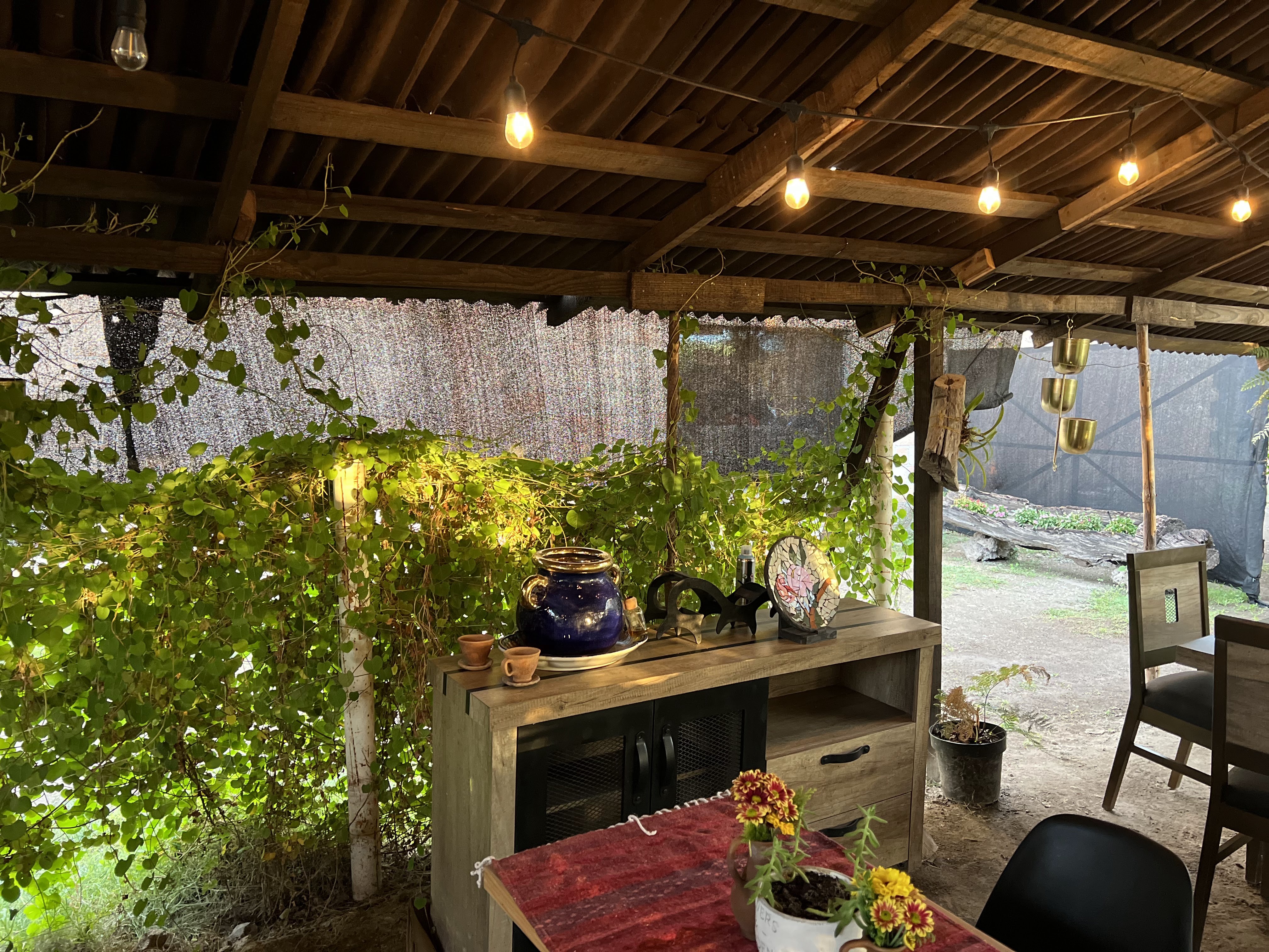 FLOR Y MIEL Restaurante image 4