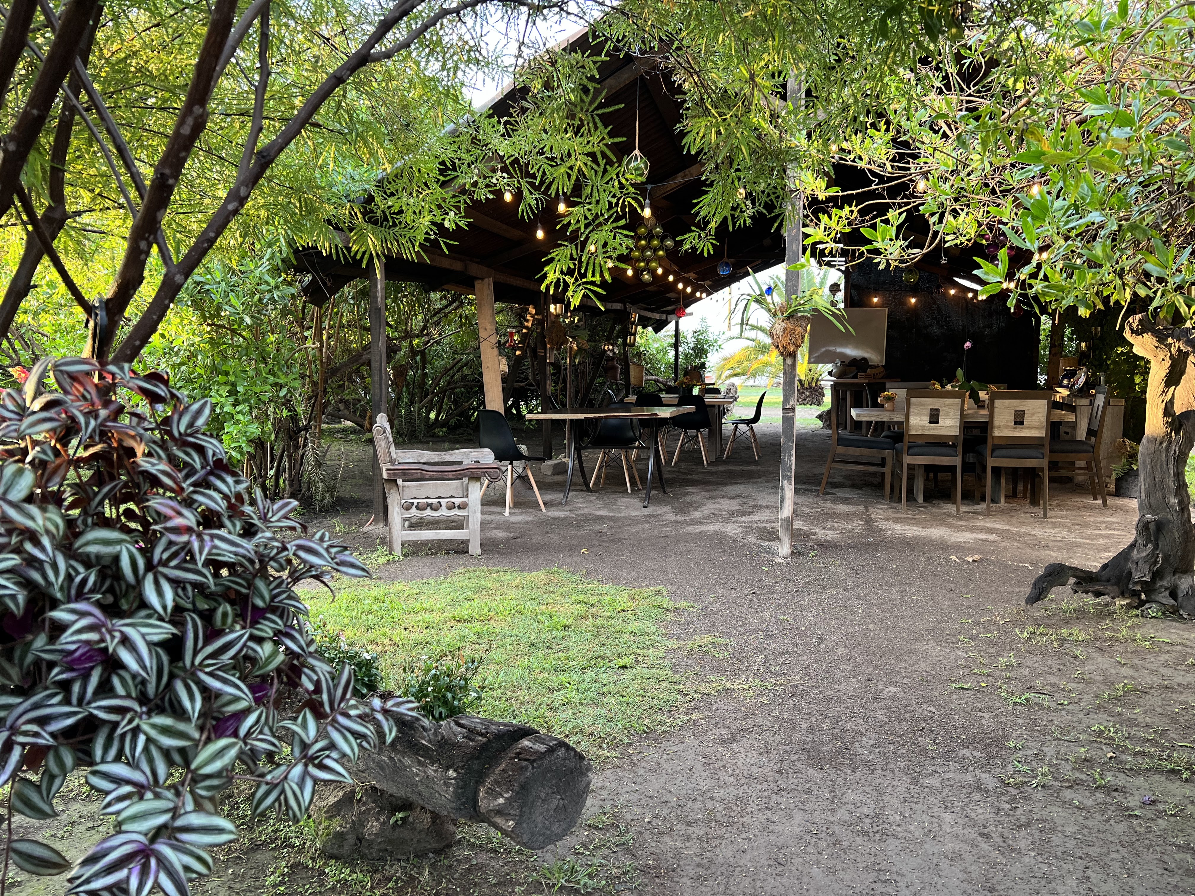 FLOR Y MIEL Restaurante image 5