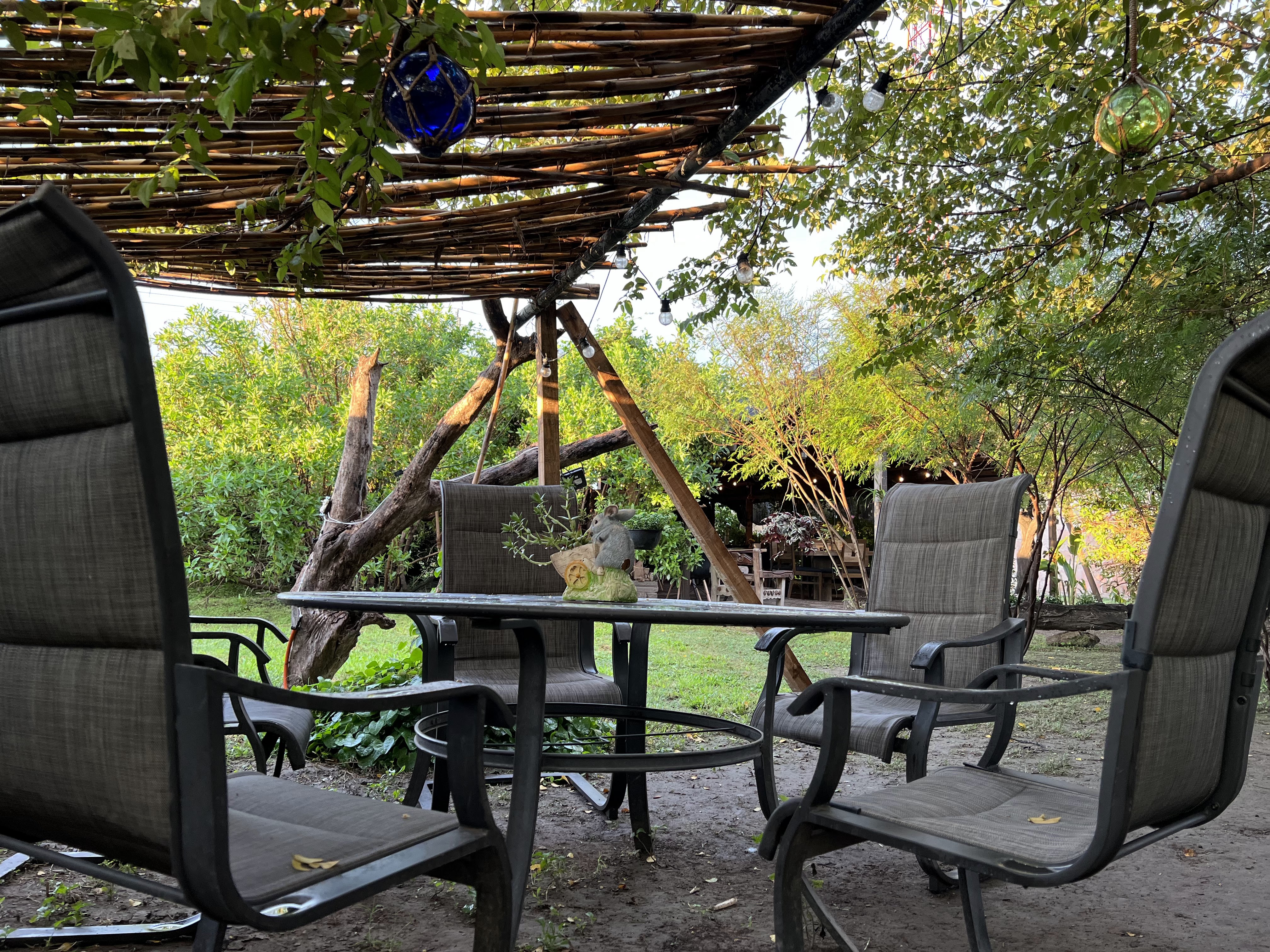 FLOR Y MIEL Restaurante image 9