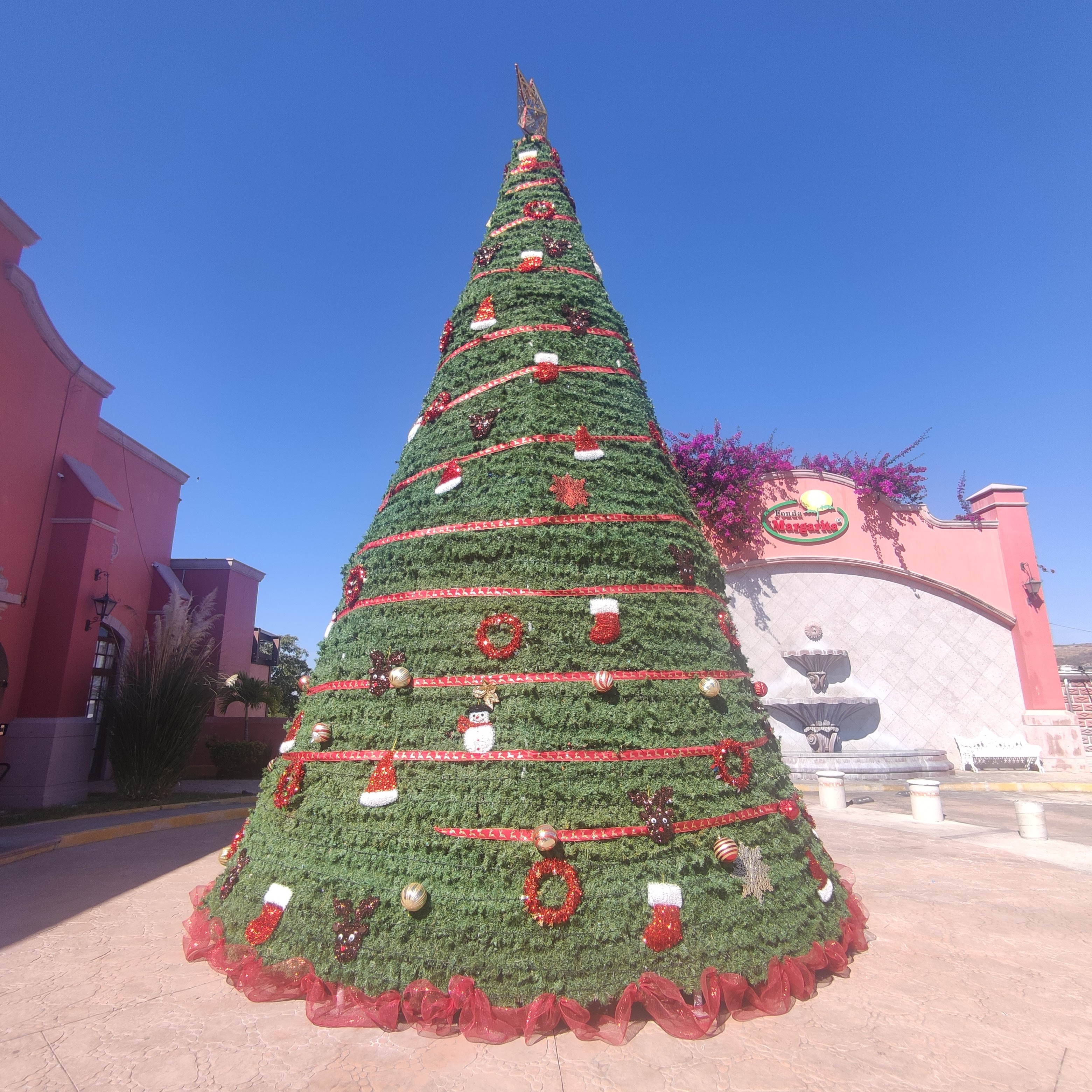 Fonda Margarita image 7