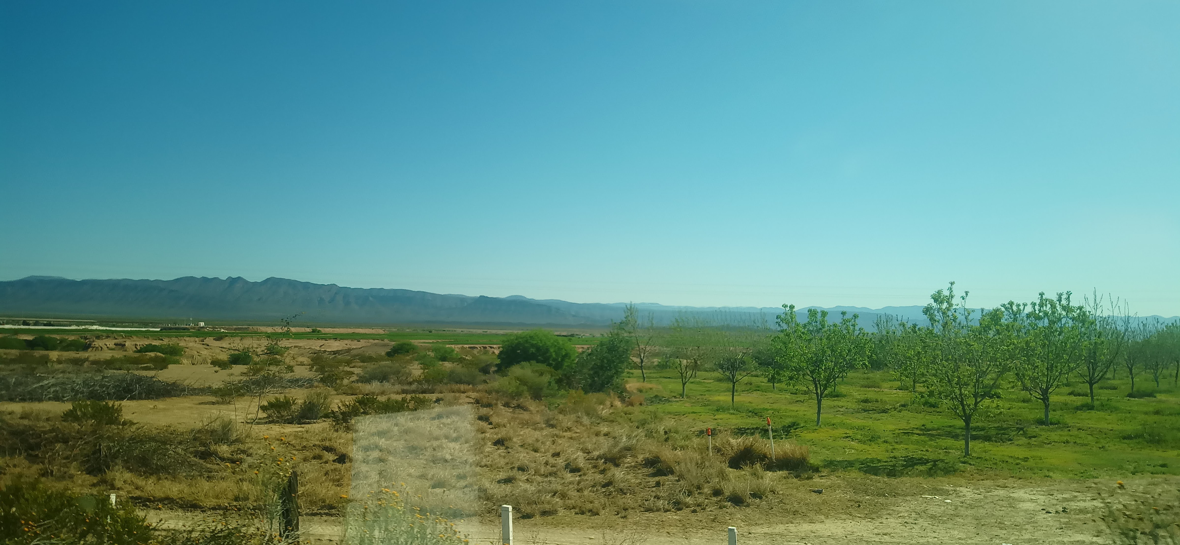 Gorditas "Perita" image 1