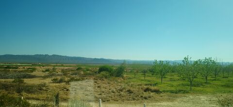 Gorditas "Perita" image 1