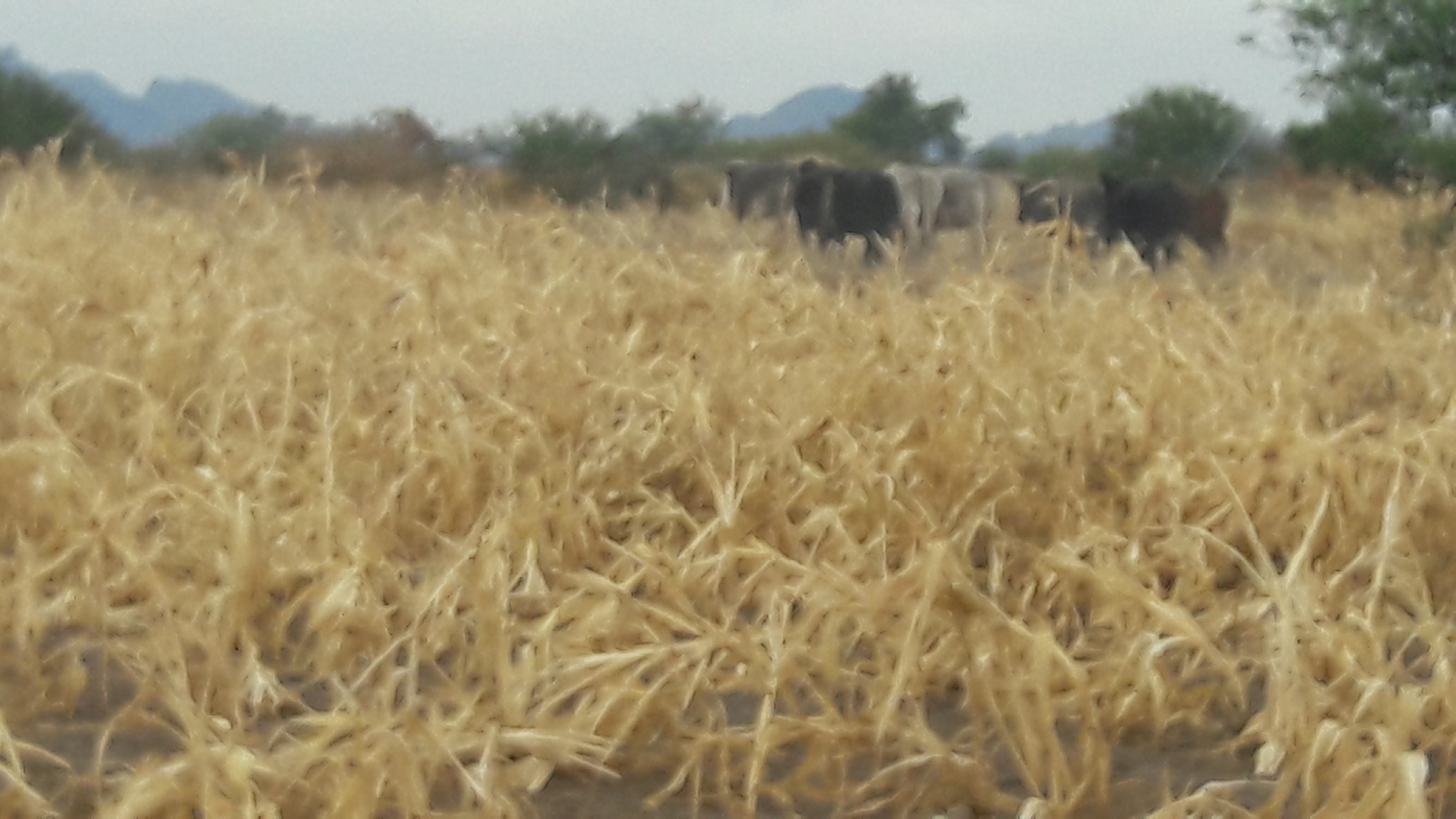 restaurant "el reten" image 3