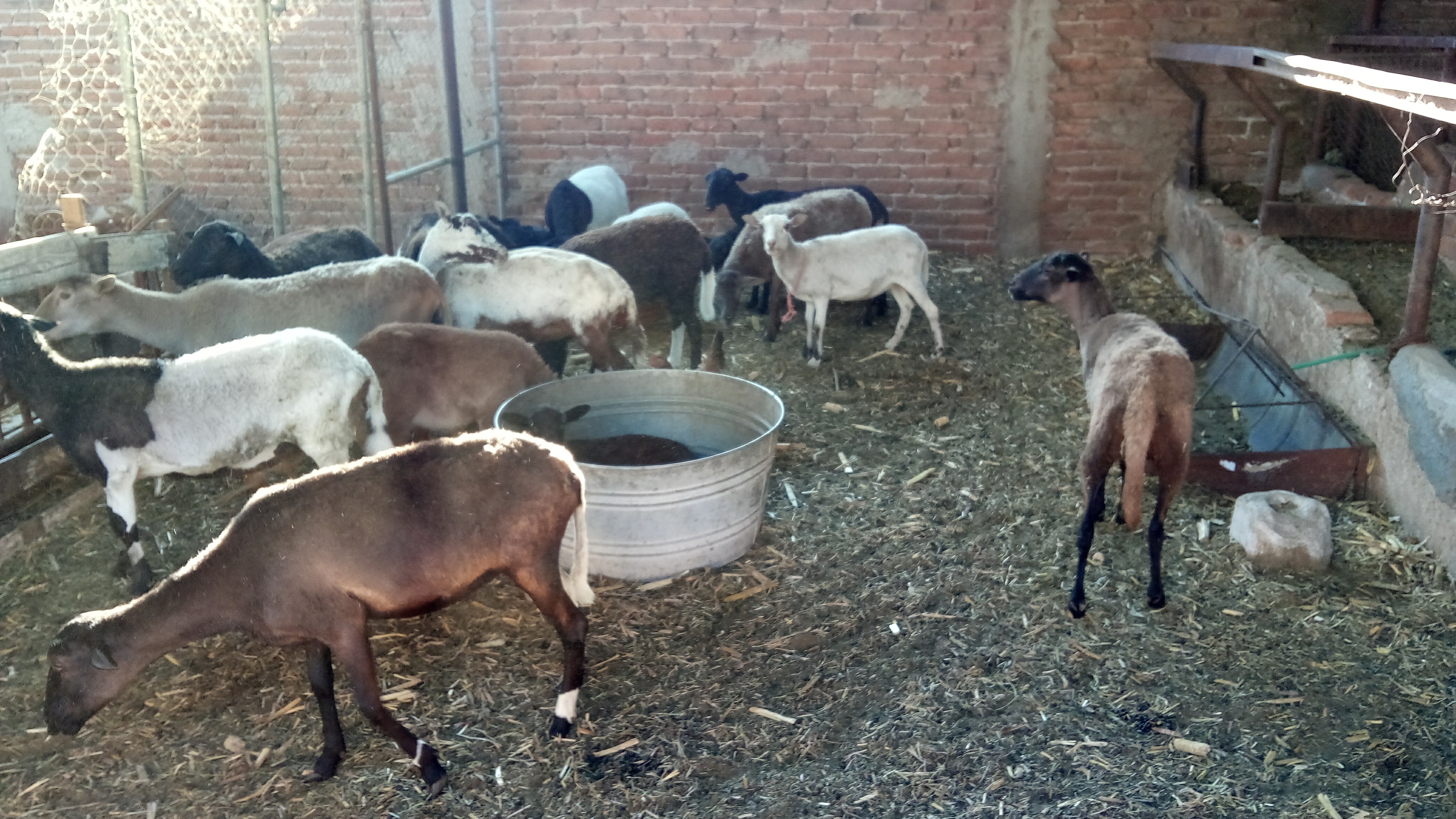 Taquería González image 3