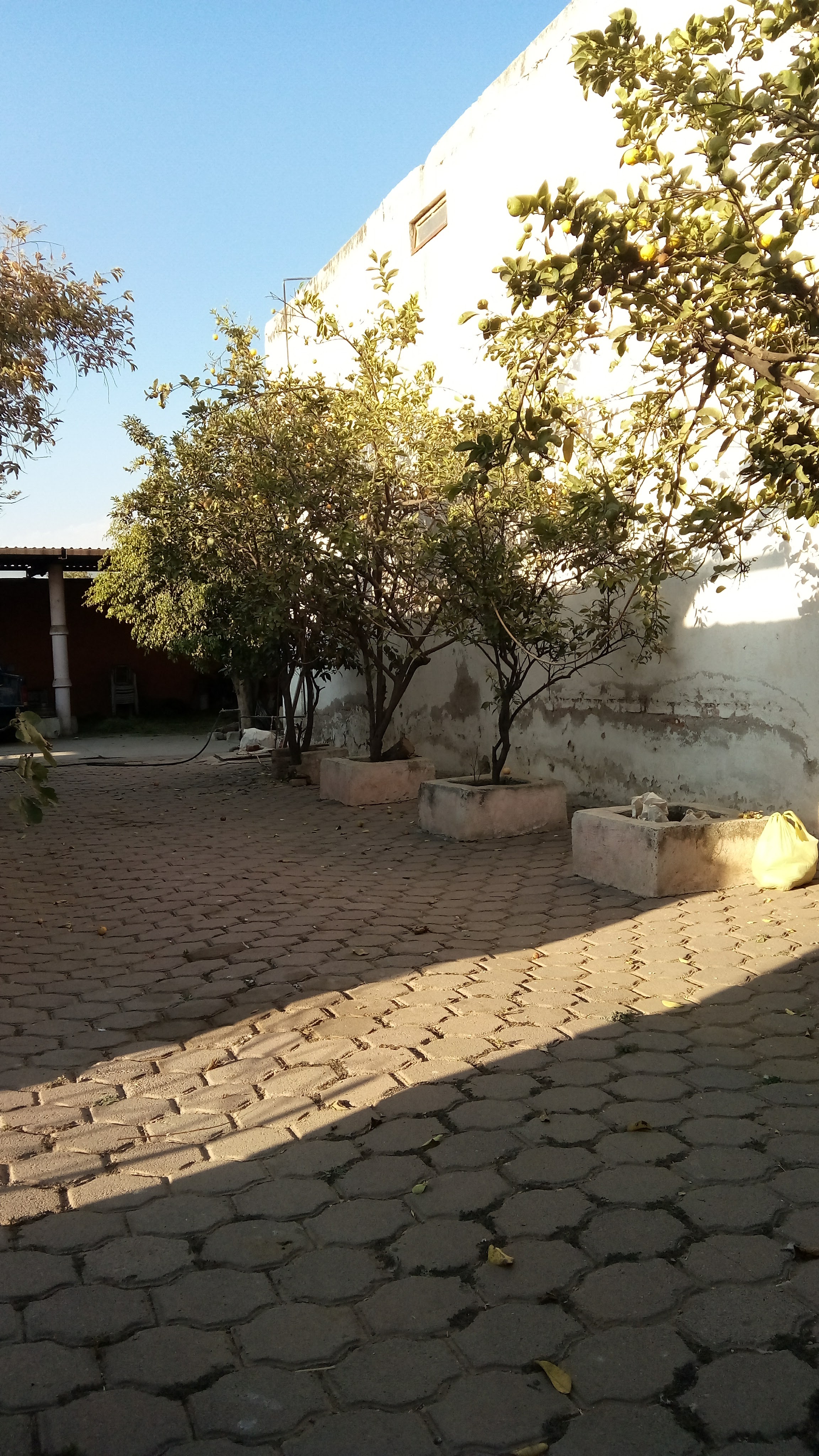 Taquería González image 4