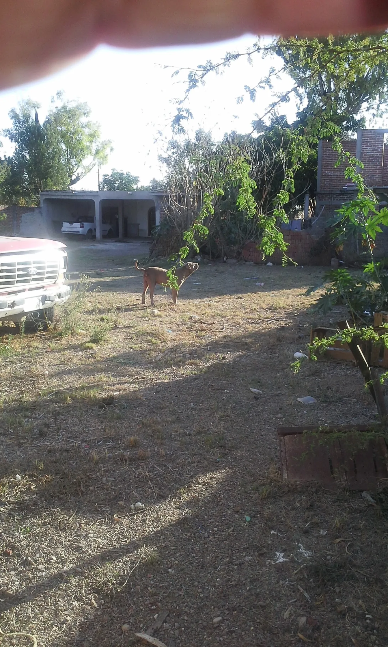 Taquería González image 8