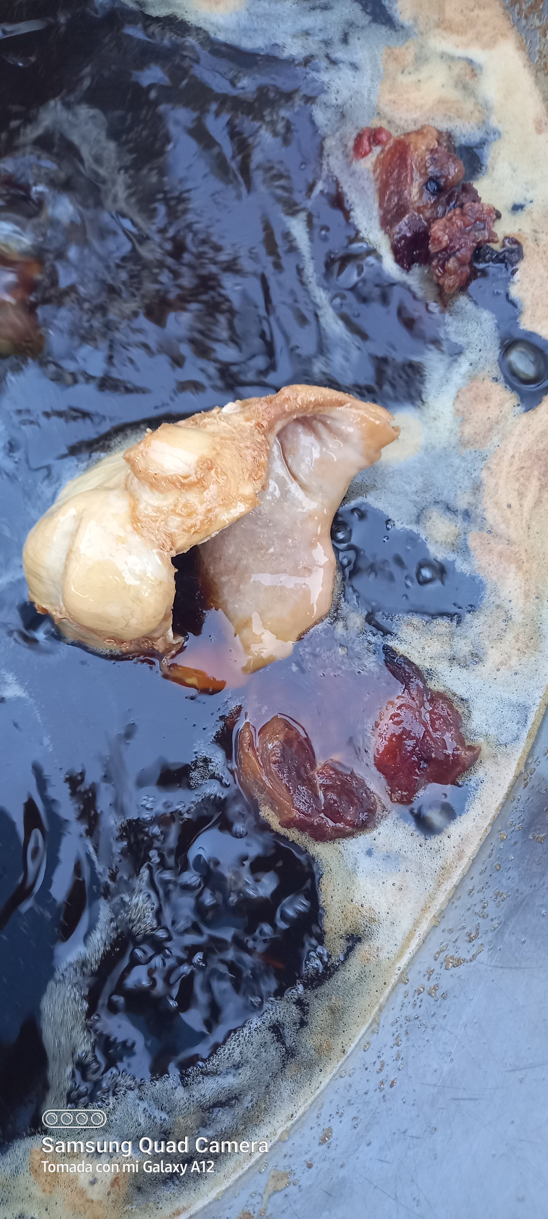 Carnitas Sebastián image 4