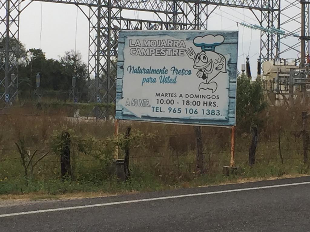 El Sauz Restaurante Campestre image 5