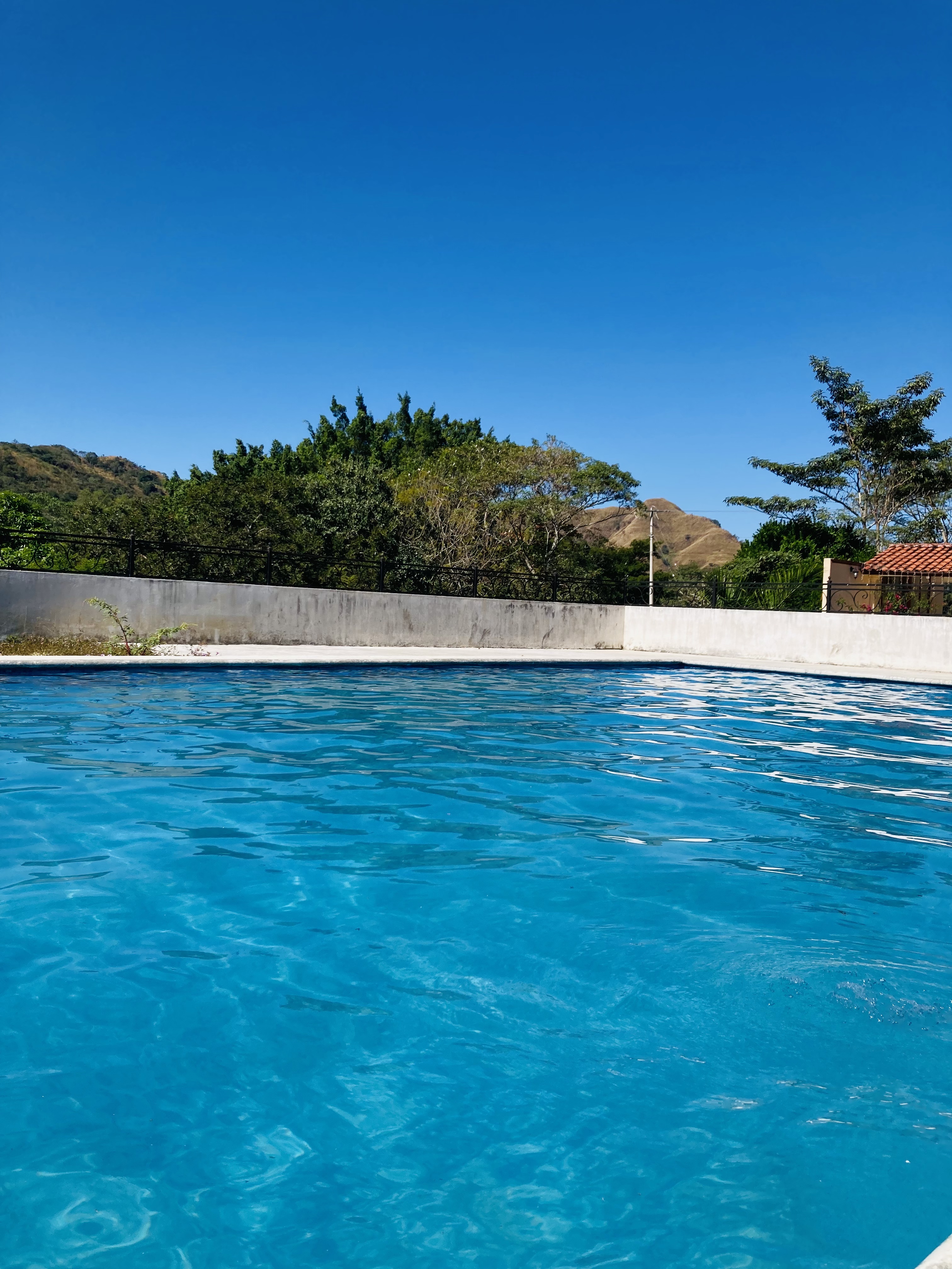 Restaurant Familiar La Garza image 4