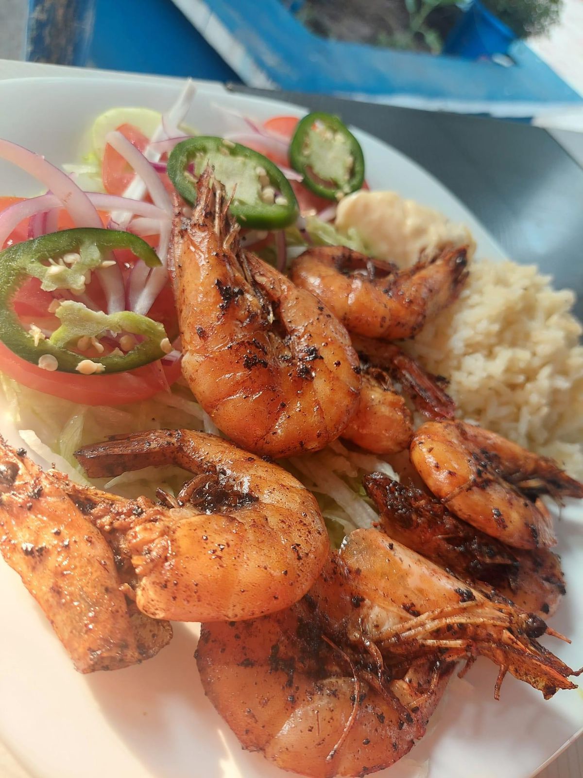 Recinto Azul image 6