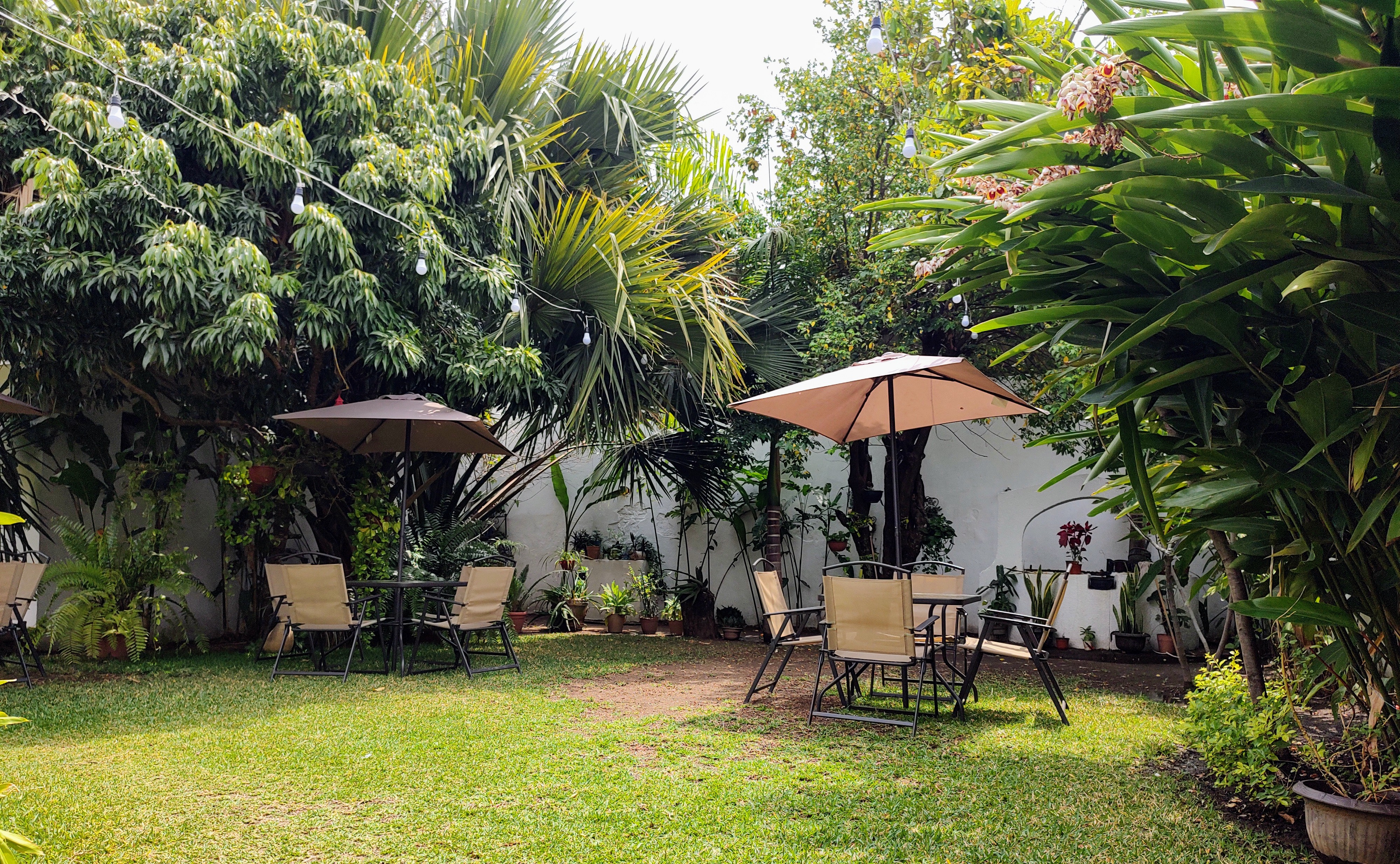 Restaurant D'Elo image 5