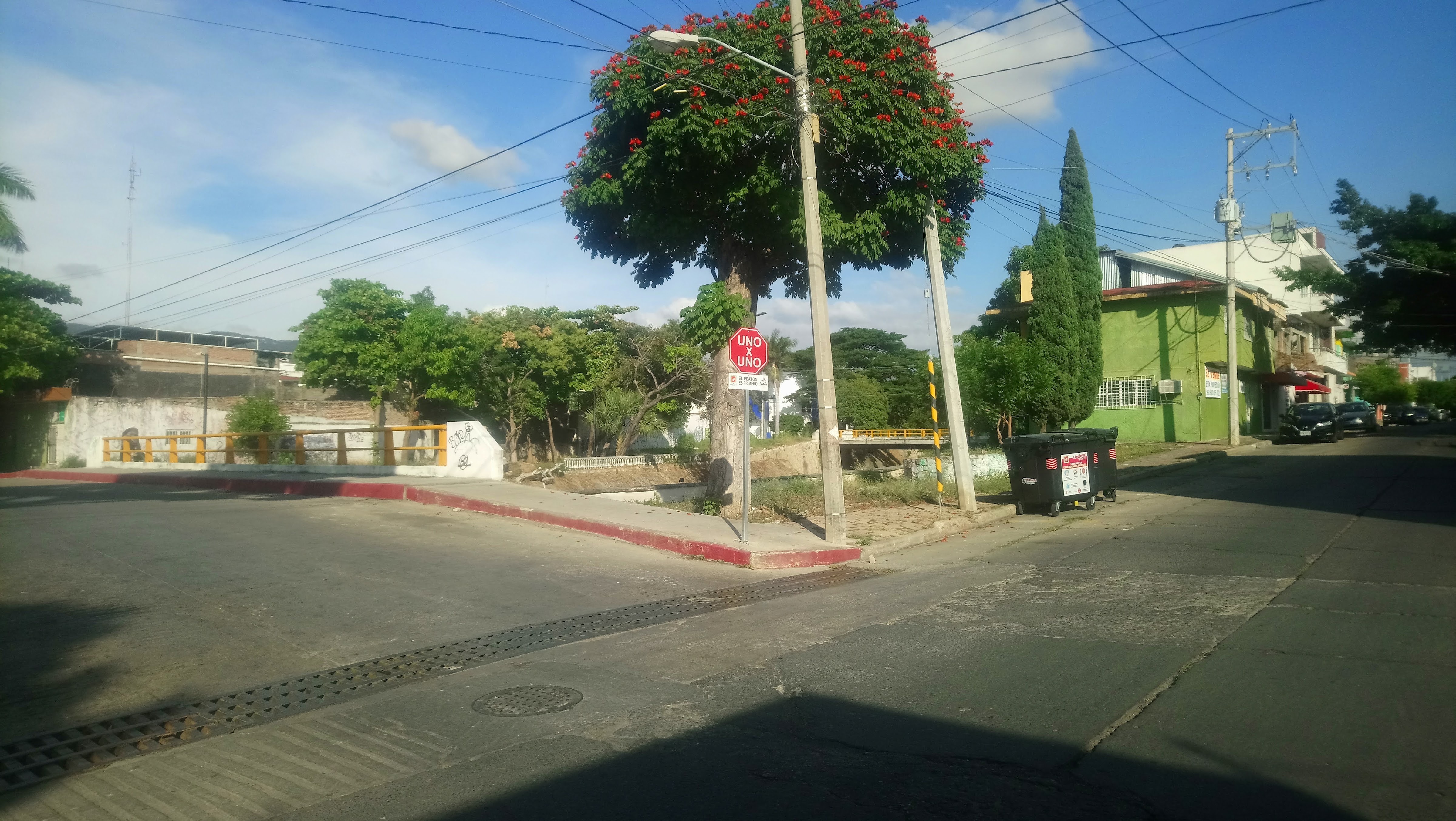 Restaurant Bar PapáGallos image 8