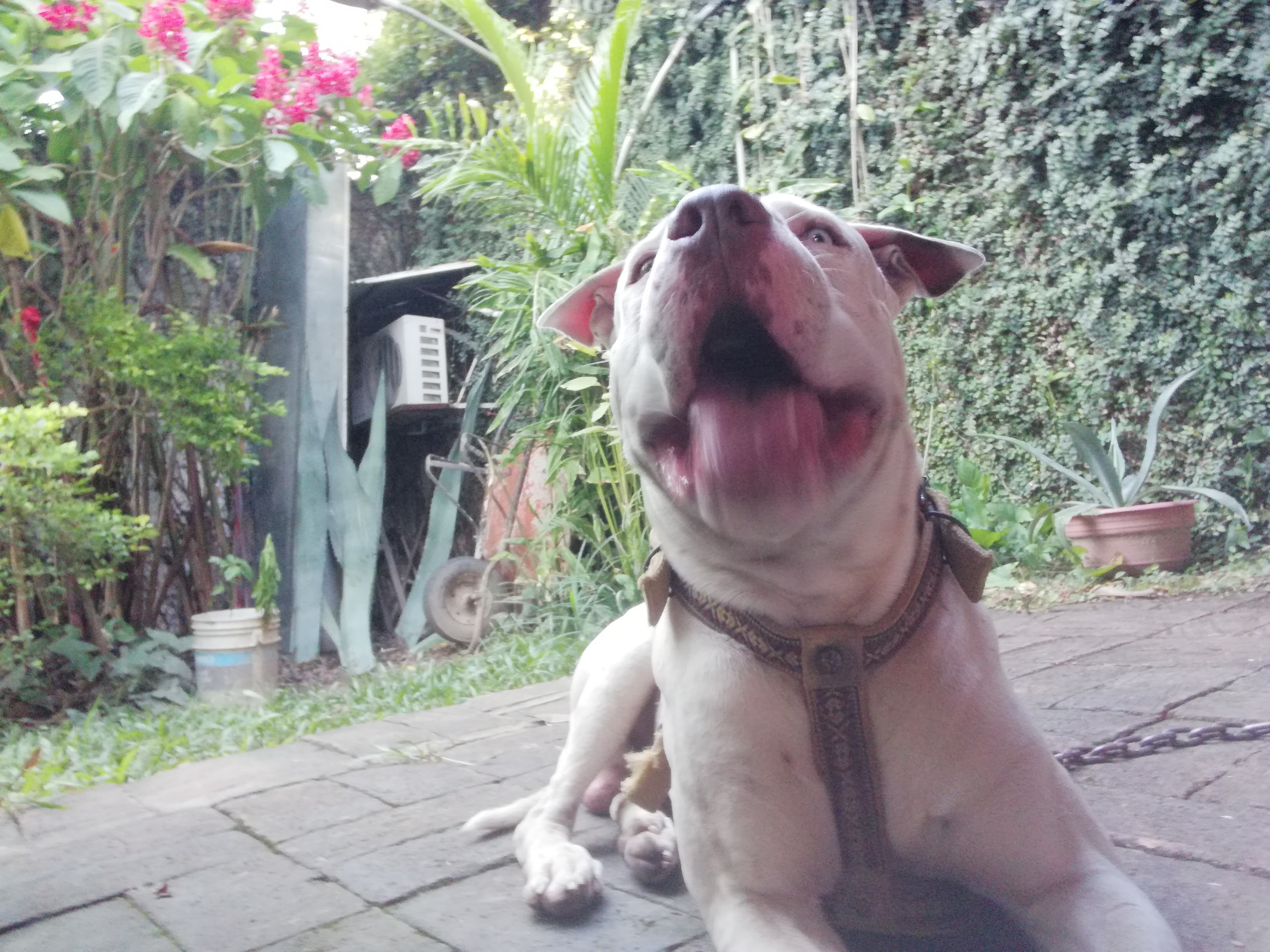 Plaza Texcoco image 10